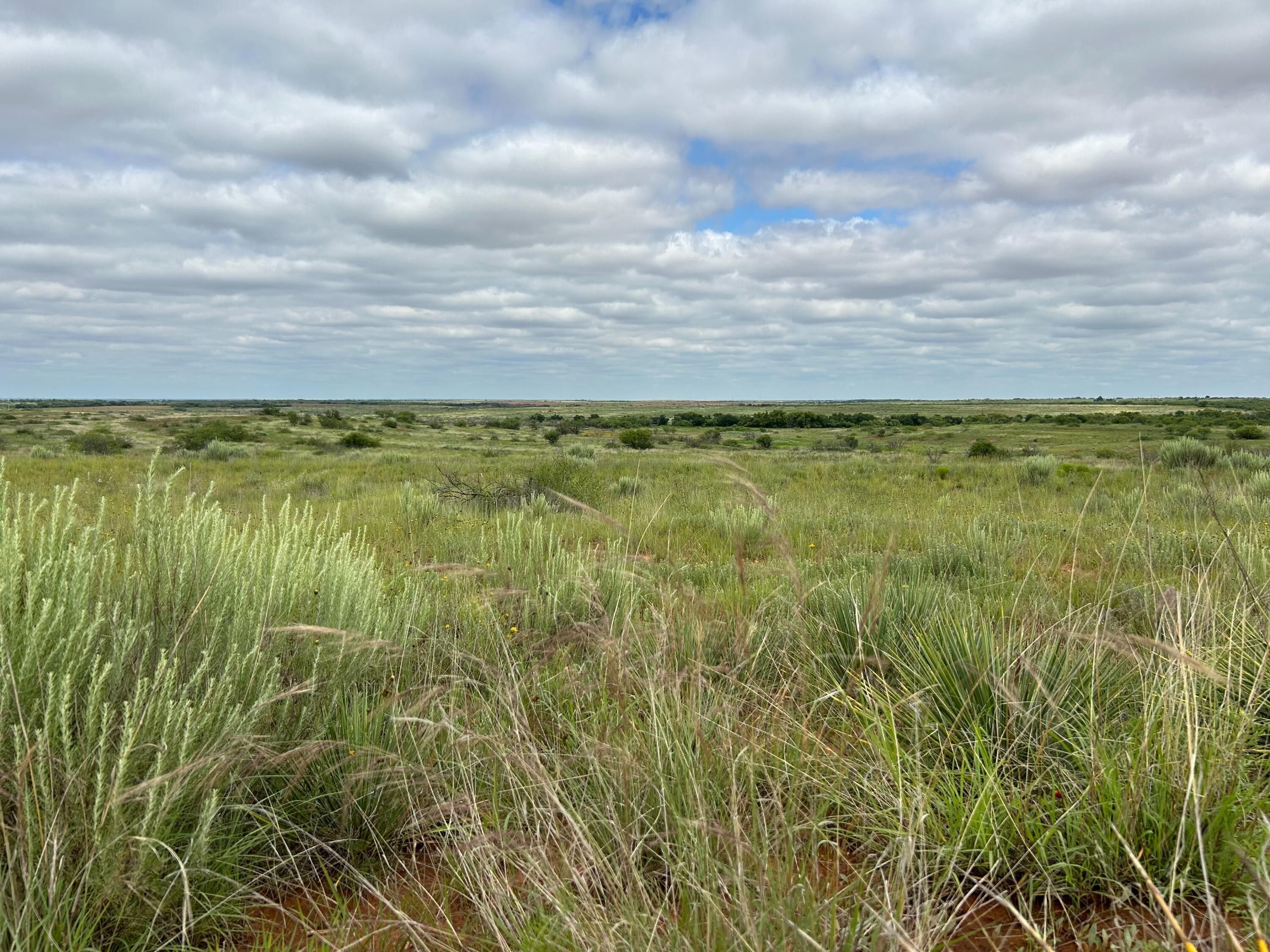 116.3 acres in Cottle County, Texas