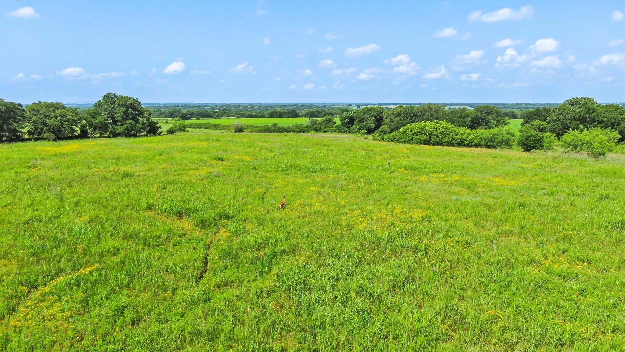 47 acres in Comanche County, Texas