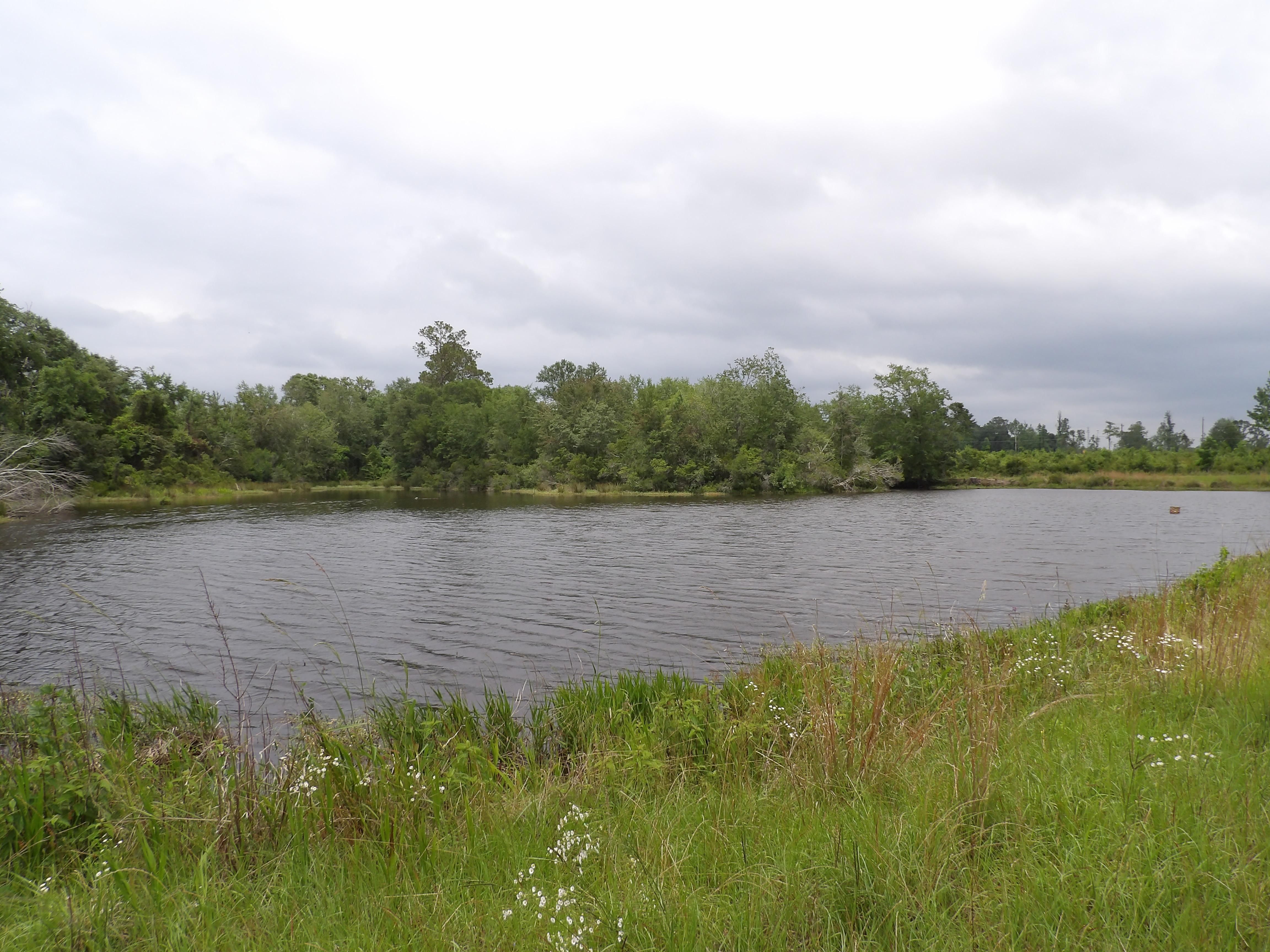 272 acres in Tift County,