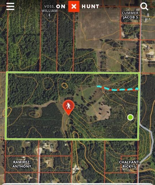 80 acres in Kalkaska County, Michigan