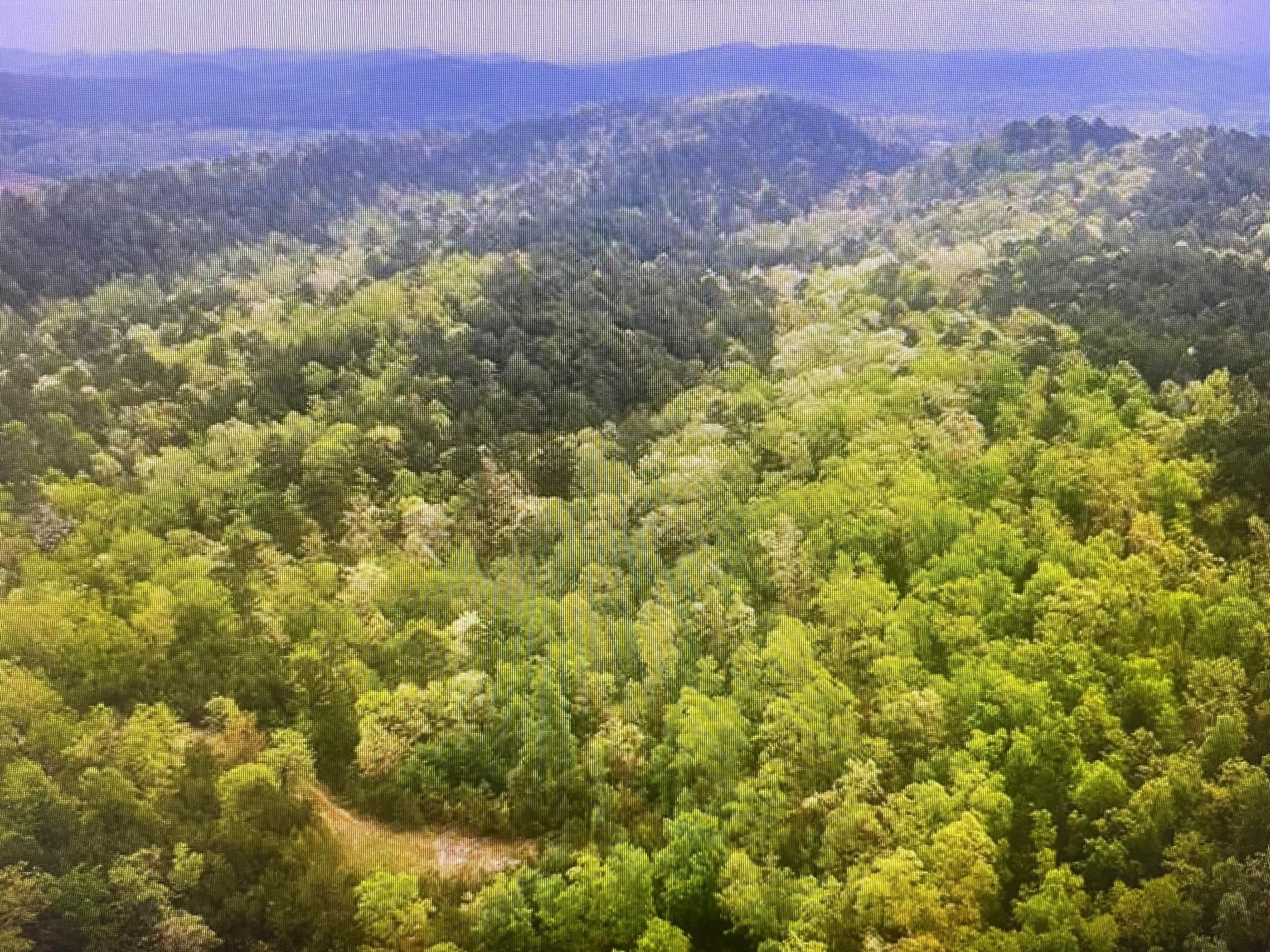 120 acres in Polk County, Arkansas