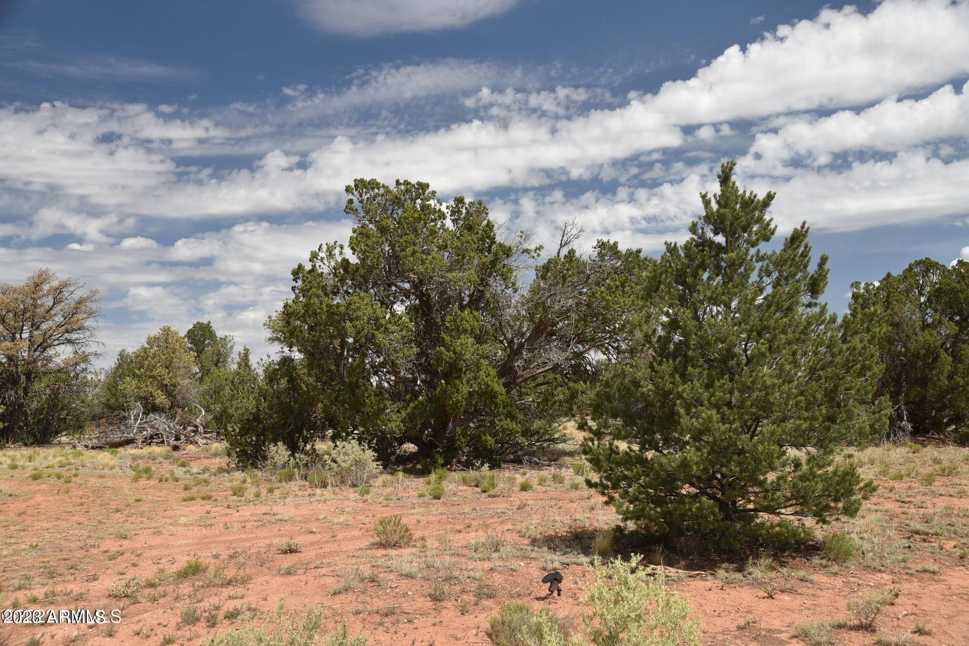 4615 N ALTA VILLA Road, Williams, AZ 86046 MLS 6565454