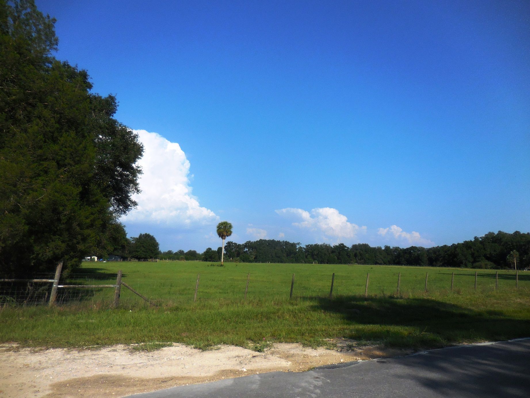 10.26 acres in Levy County, Florida