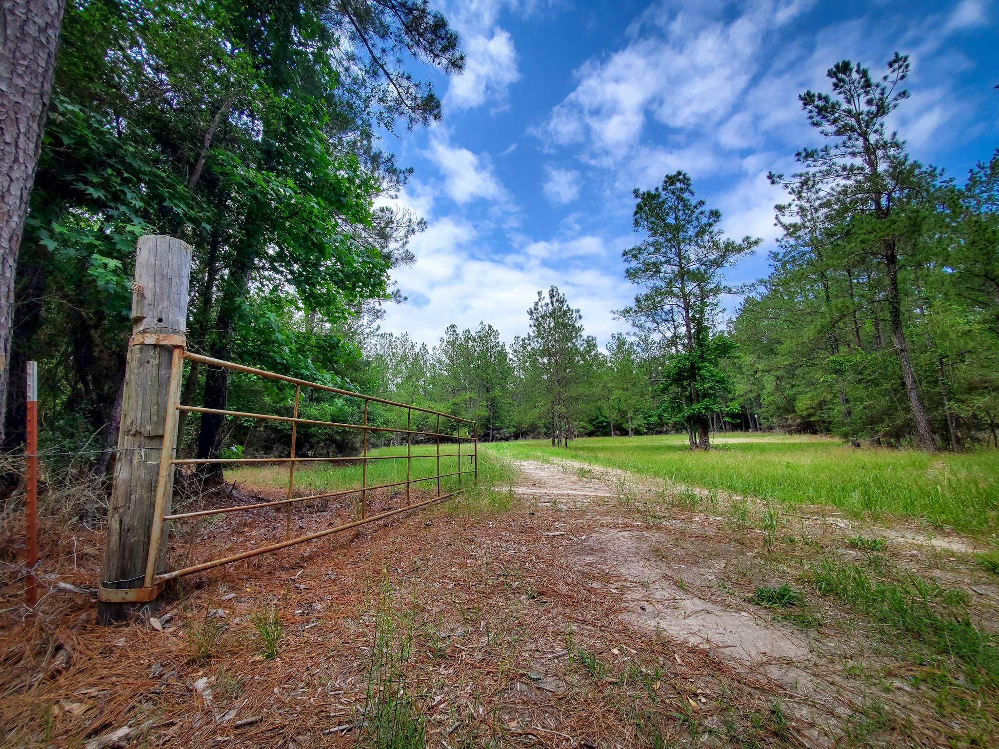 Land For Sale Livingston Tx - mge92vb