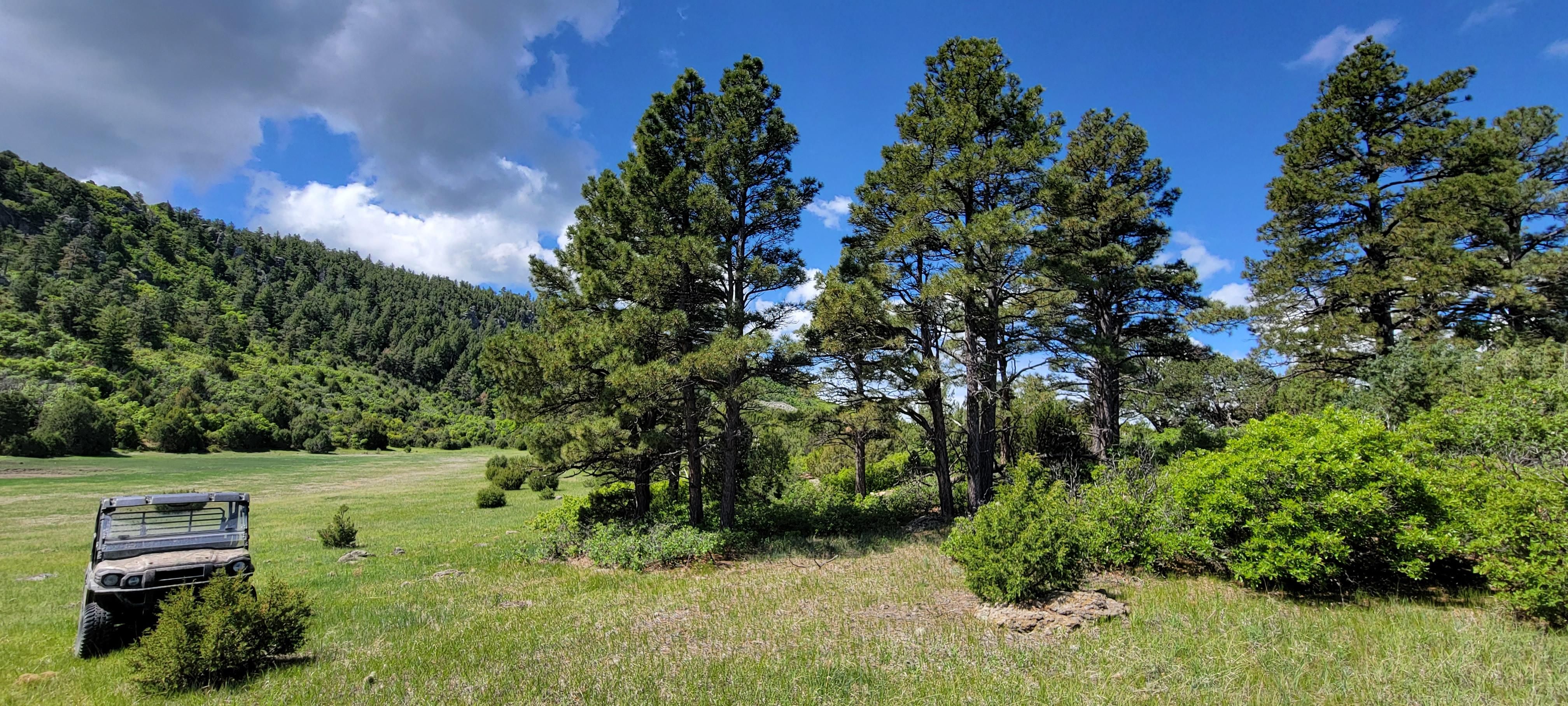 1,694.74 acres in Folsom, NM, 88419