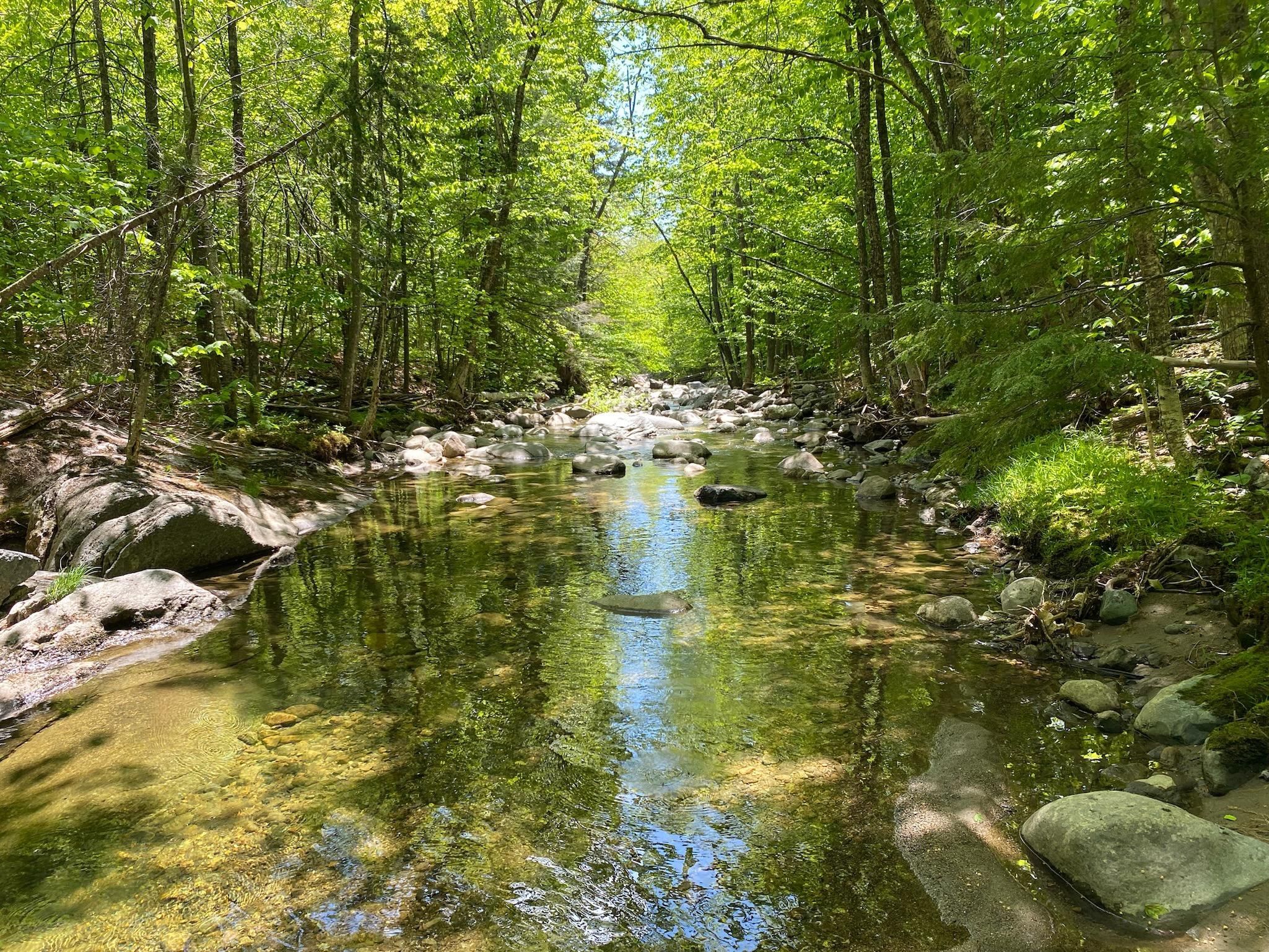 131 acres in Franklin County, Maine