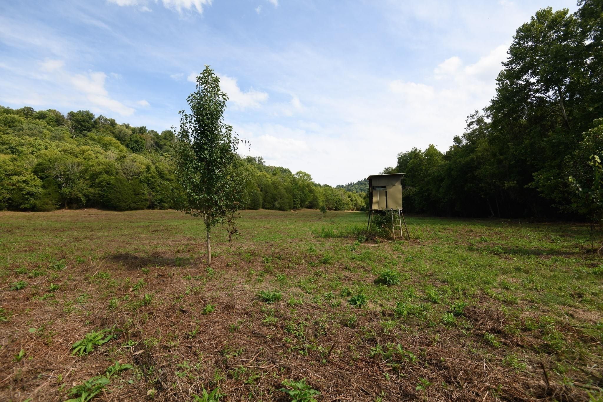 330 acres in Smith County, Tennessee