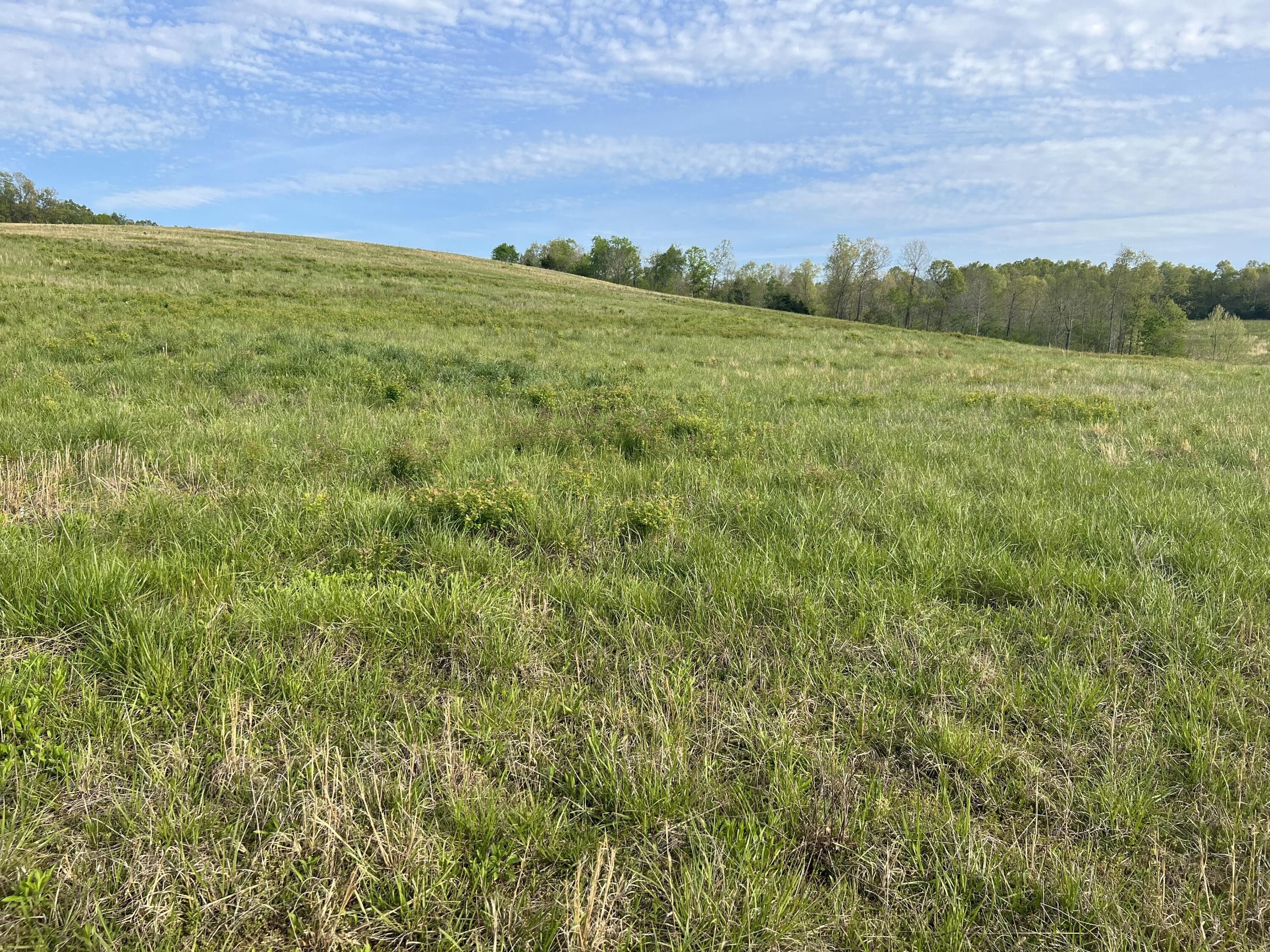 25 acres in Fulton County, Arkansas