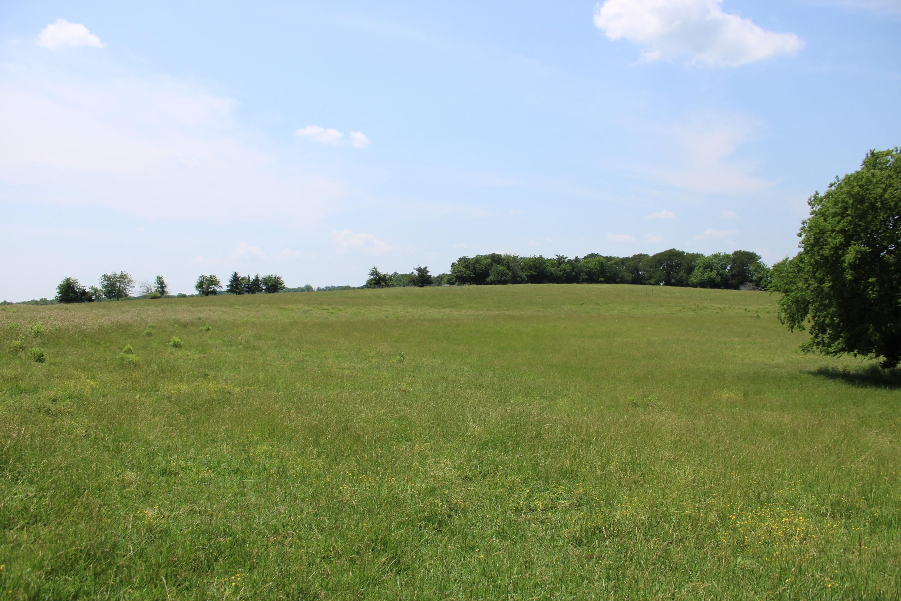 County Road 2760, Honey Grove, TX 75446 MLS 4223313742