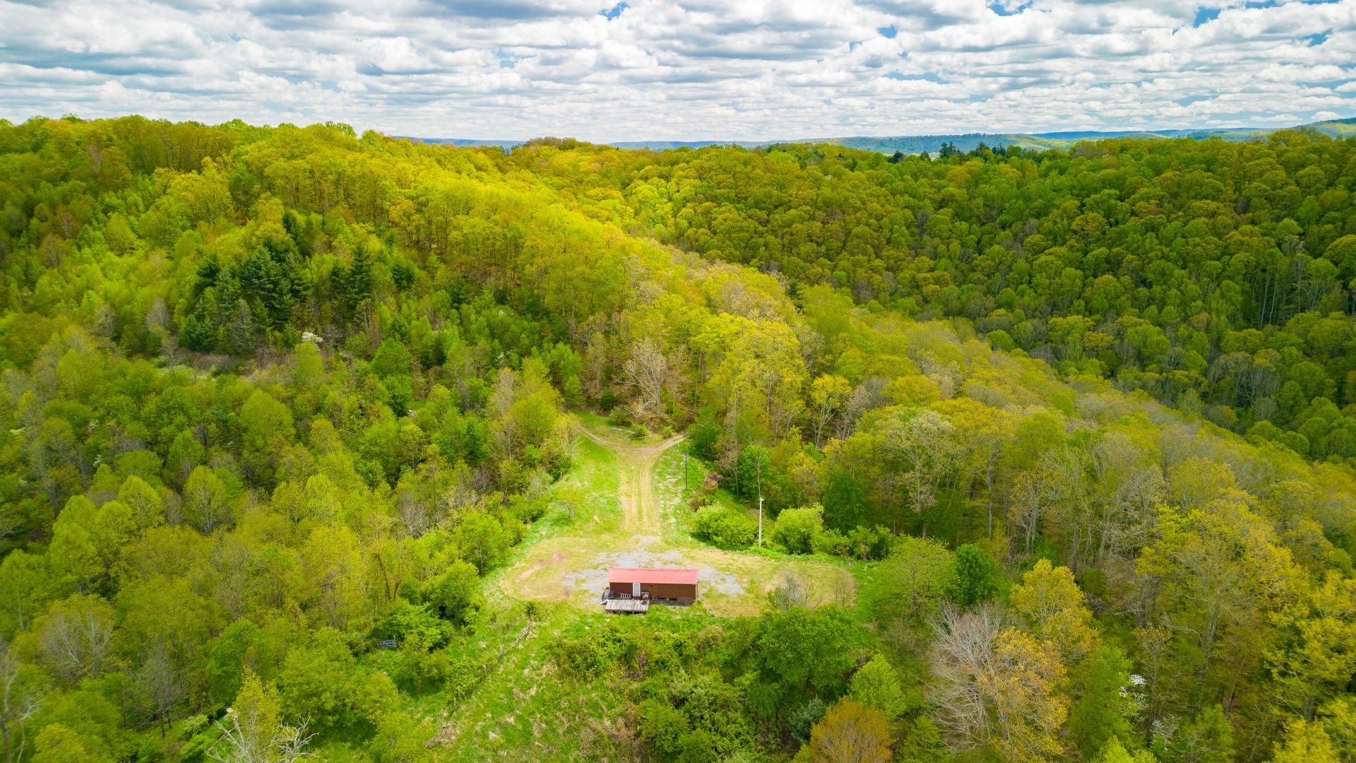 100 acres in Mercer County, West Virginia