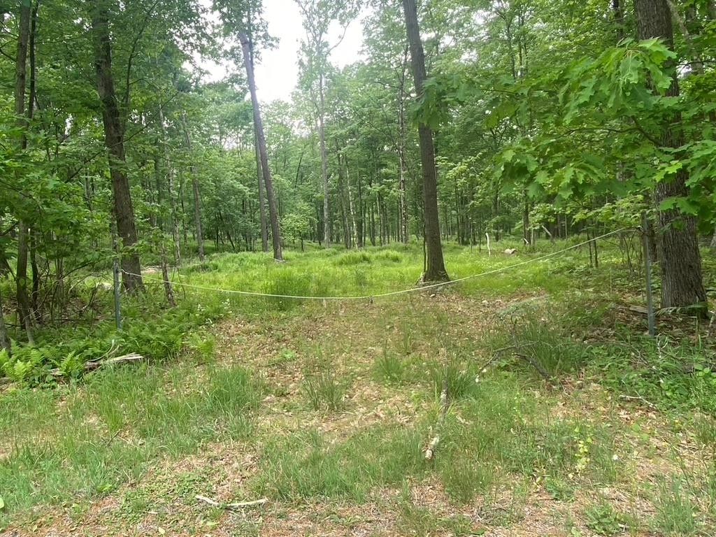 19.65 acres in Venango County, Pennsylvania