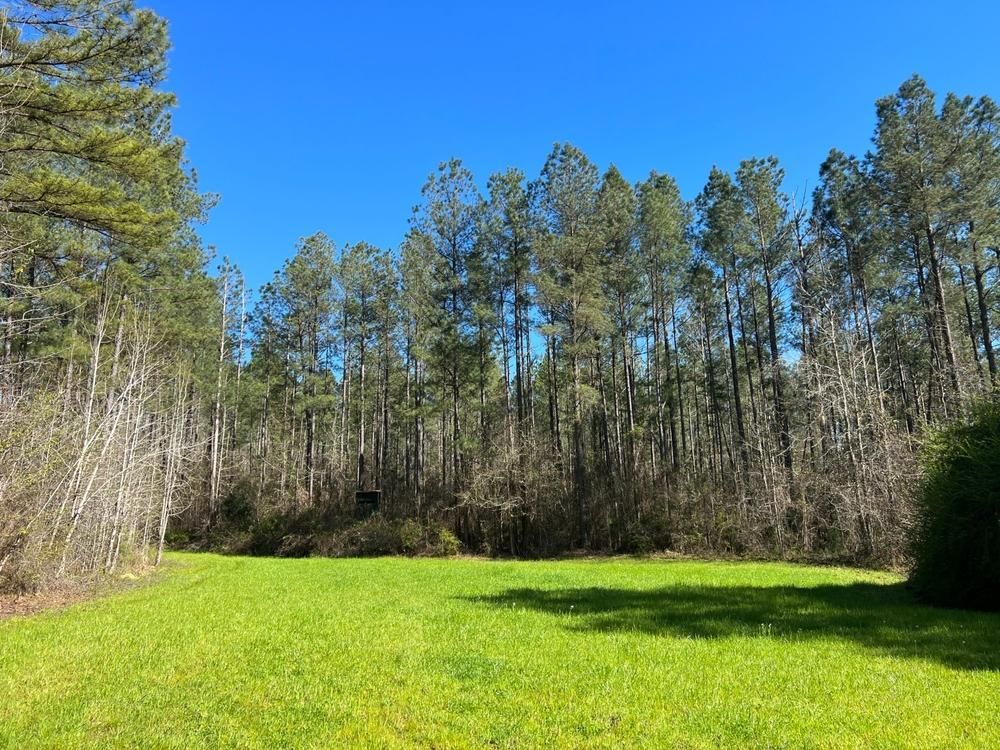 210 acres in Perry County, Alabama