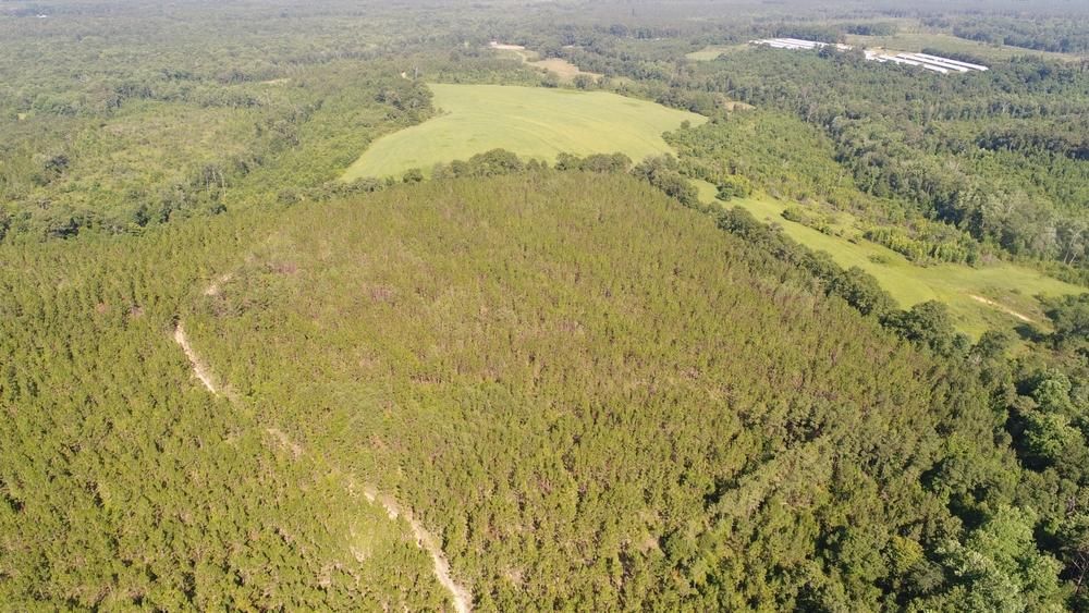161 acres in Crenshaw County, Alabama