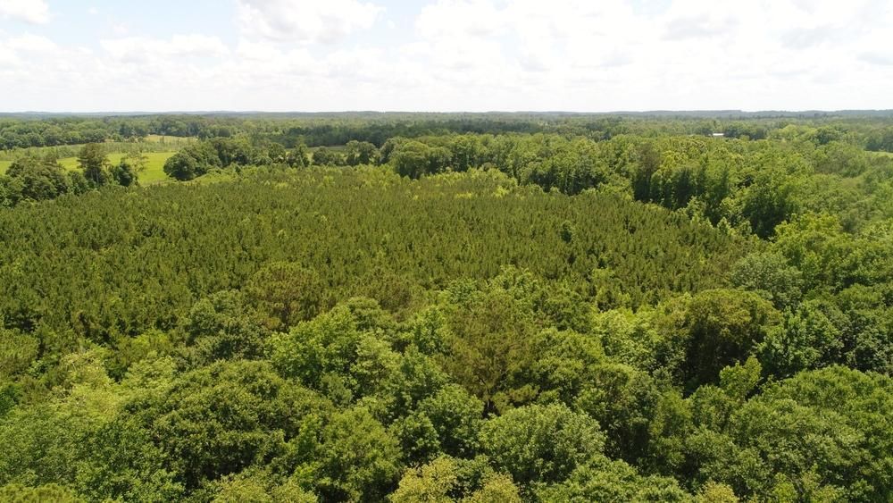 45 acres in Crenshaw County, Alabama