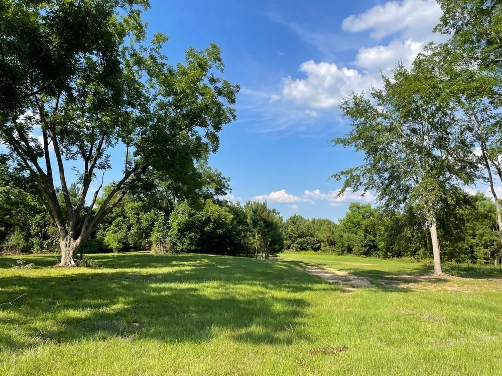 355 acres in Coffee County, Alabama