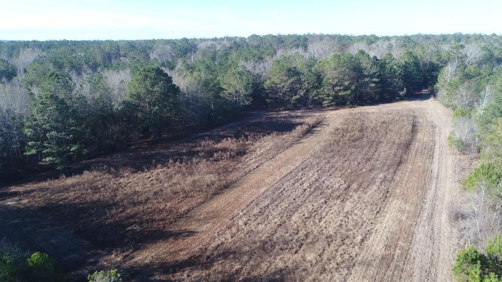 56 acres in Autauga County, Alabama