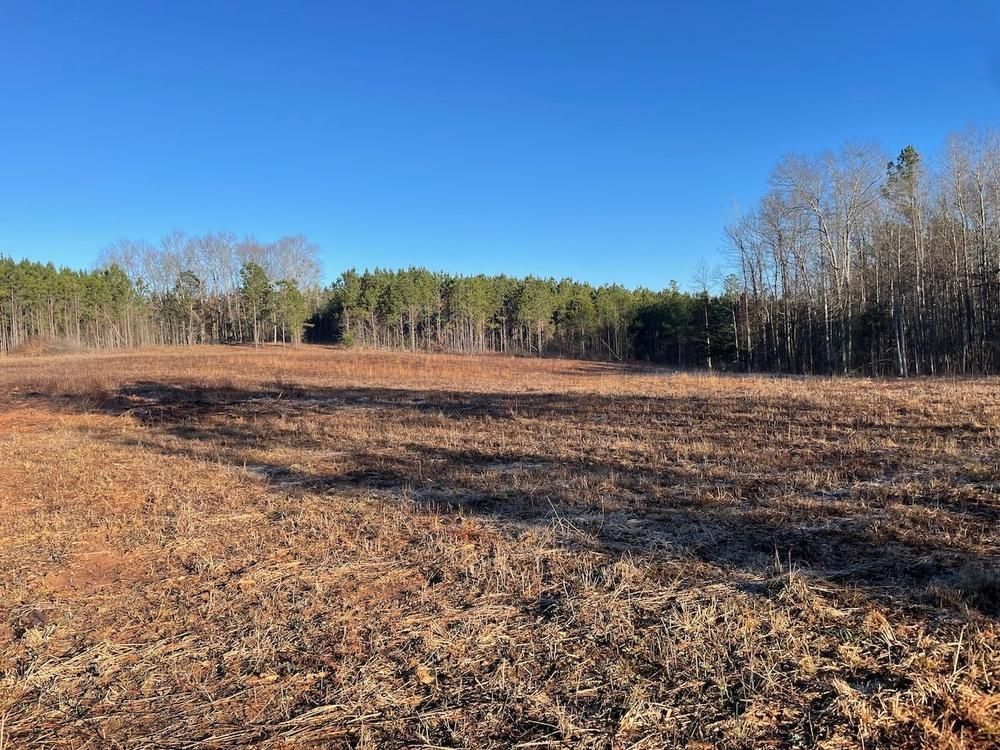 8.39 acres in Lee County, Alabama