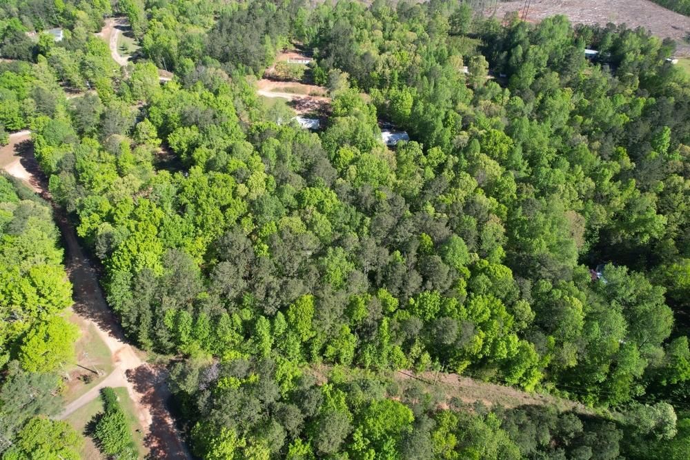2 acres in Randolph County, Alabama