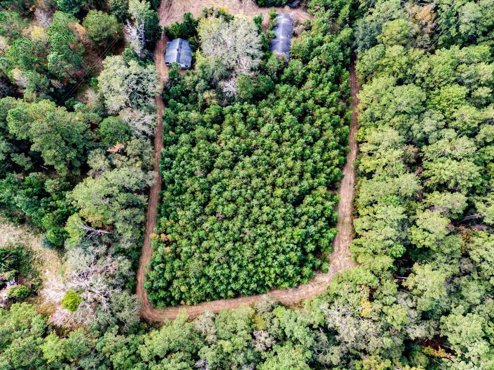24 acres in Leon County, Florida