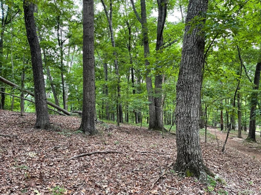 11 acres in Hall County,