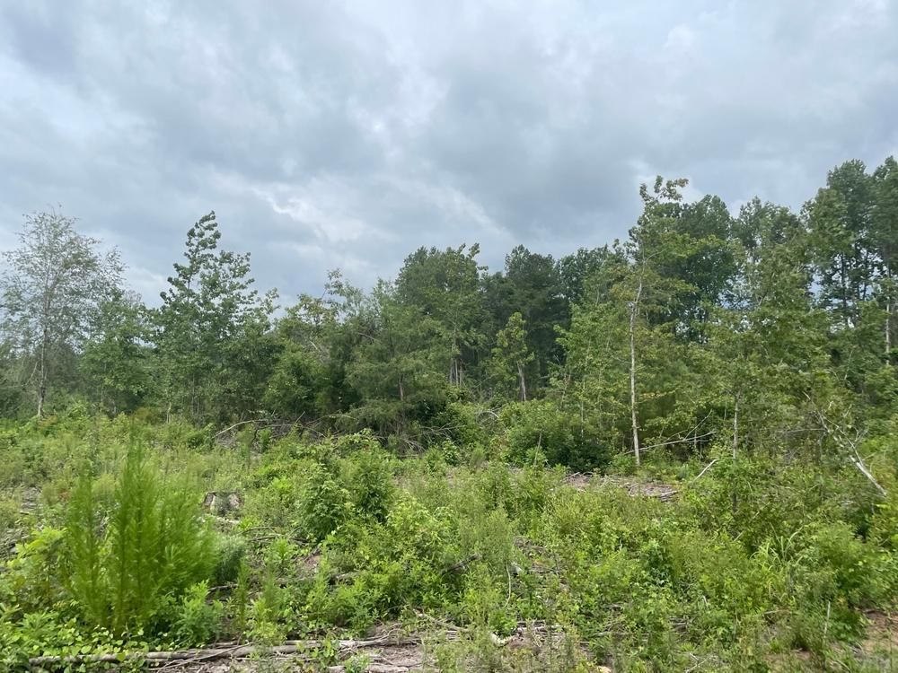 10 acres in Upson County,