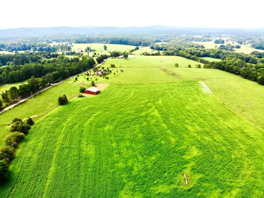 140 acres in Walker County,