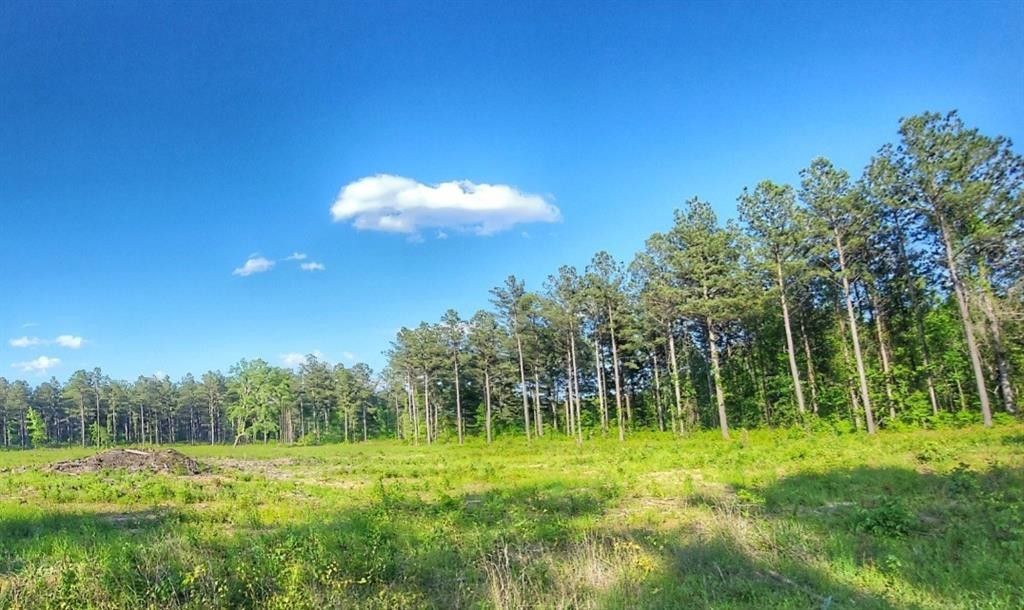 10.05 acres in De Soto Parish, Louisiana