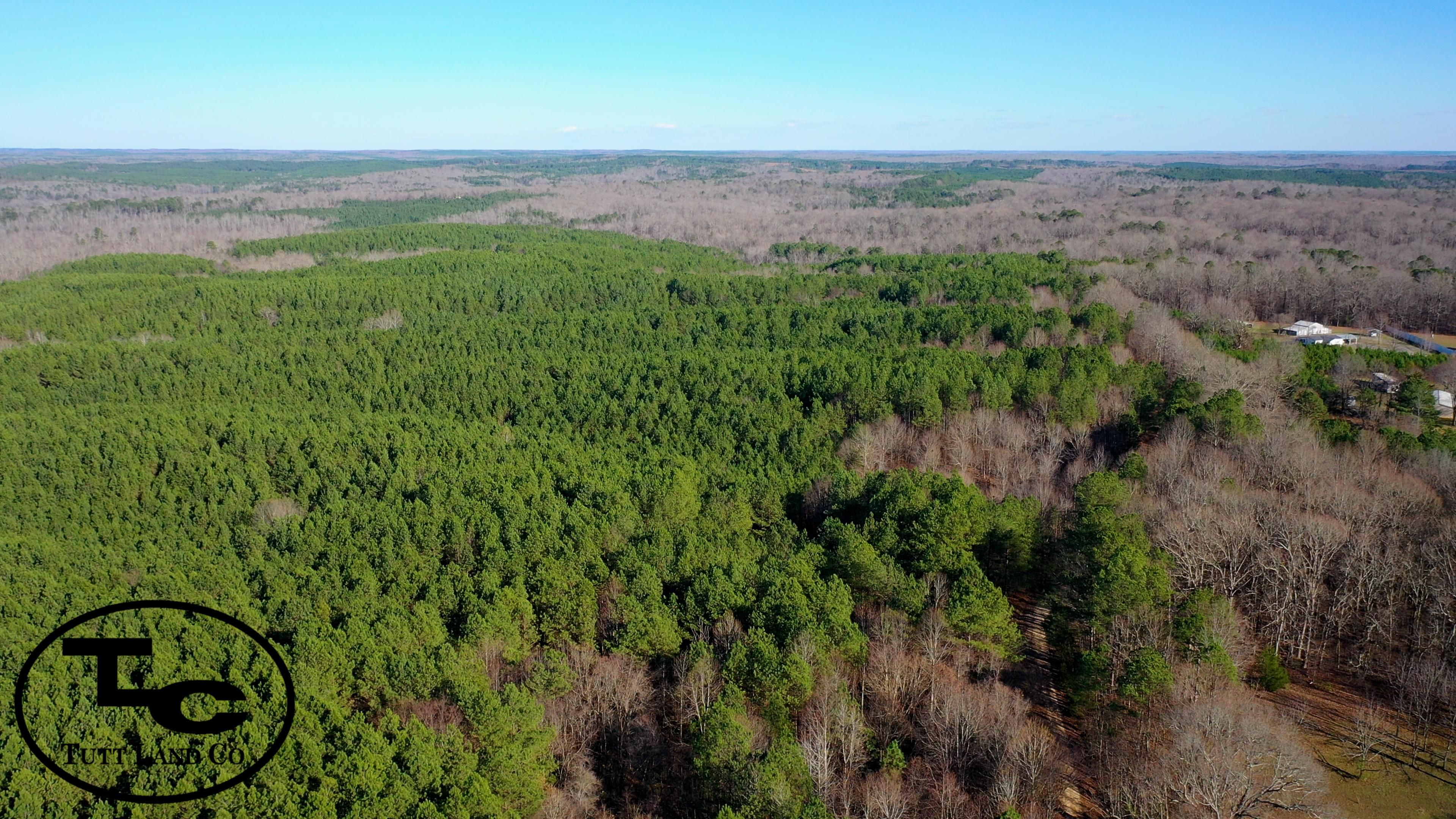 Walnut Grove Rd, Bolivar, TN 38008