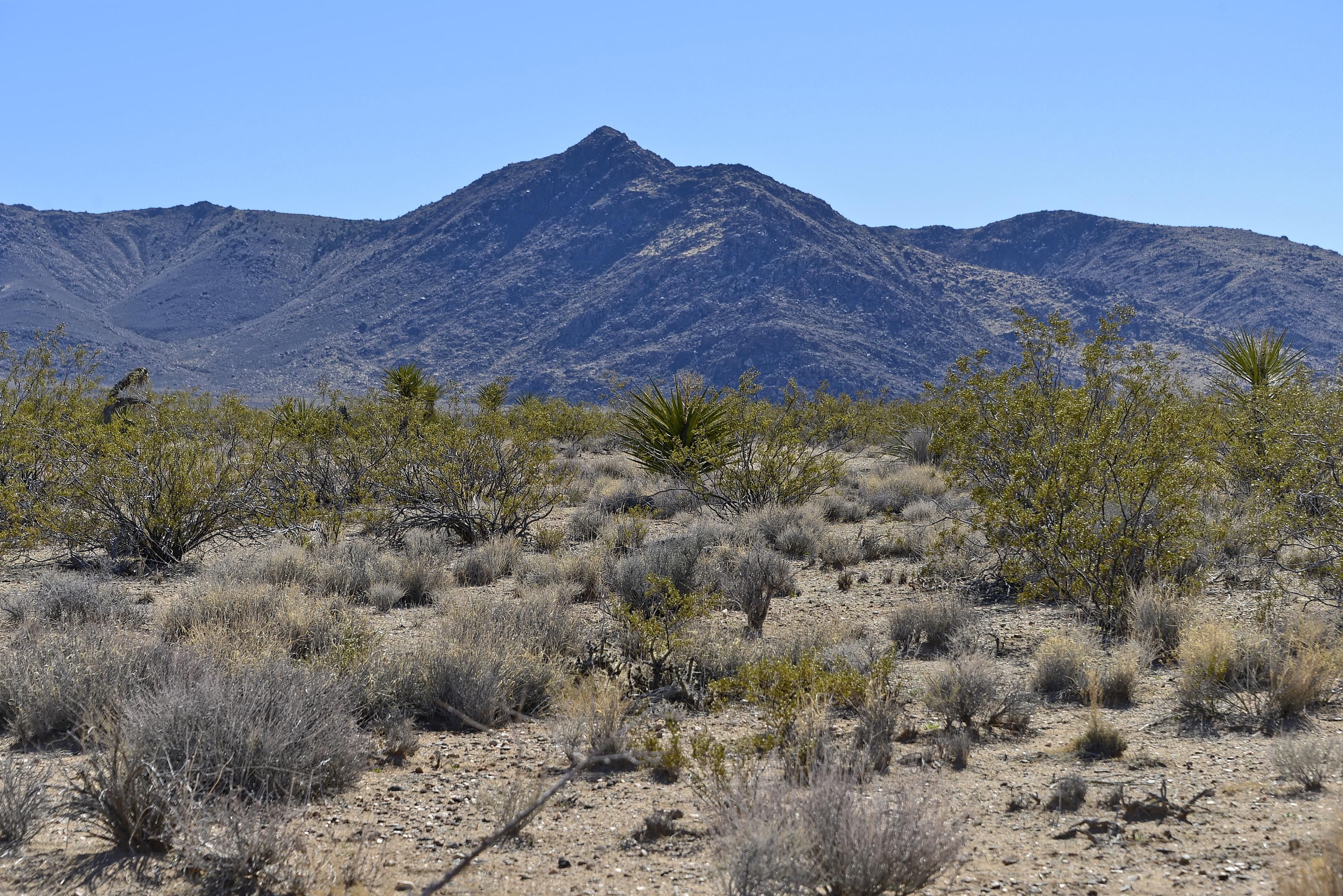 5 Acres In Mohave County, Arizona