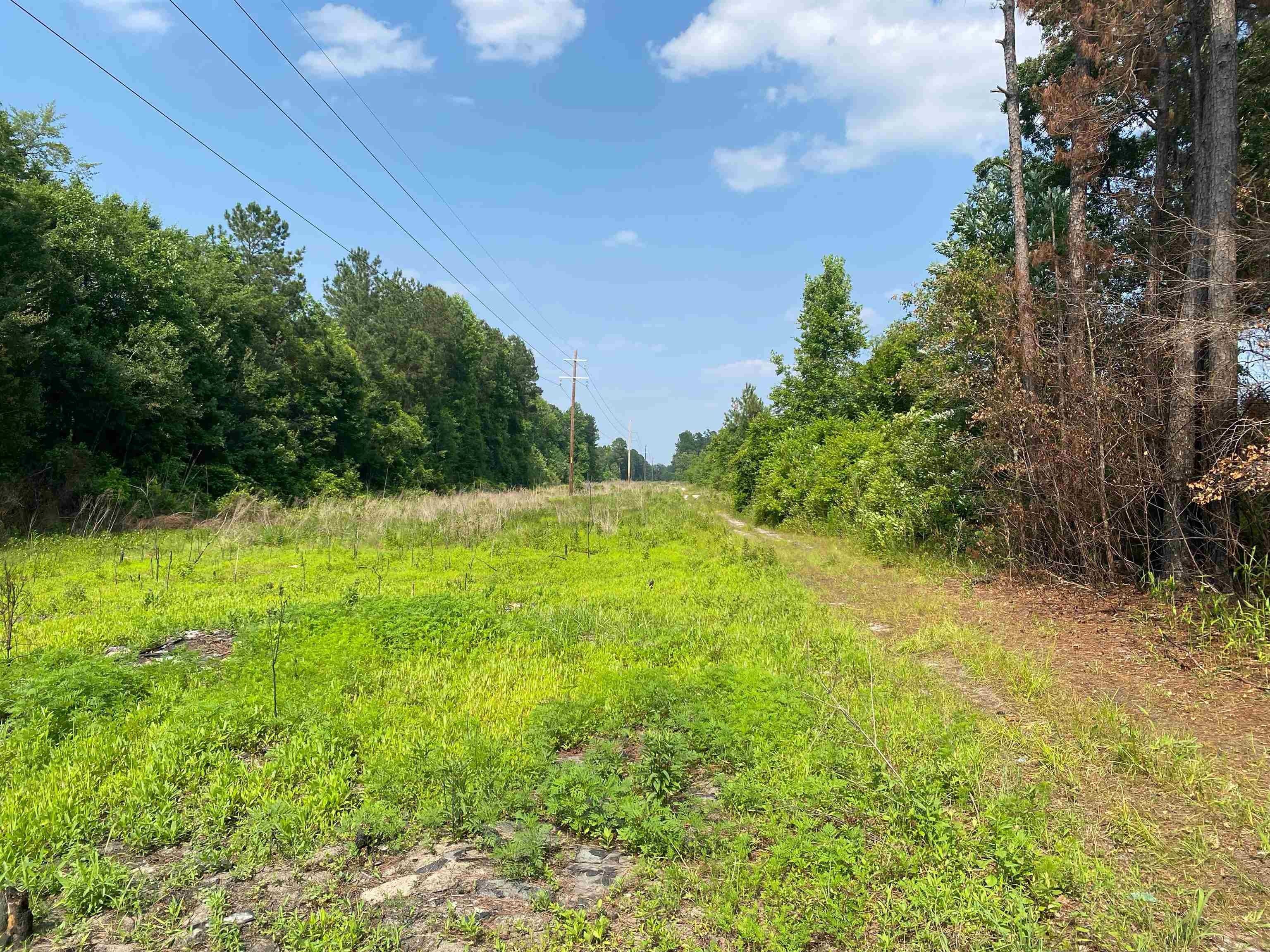 29.56 acres in Dillon County, South Carolina