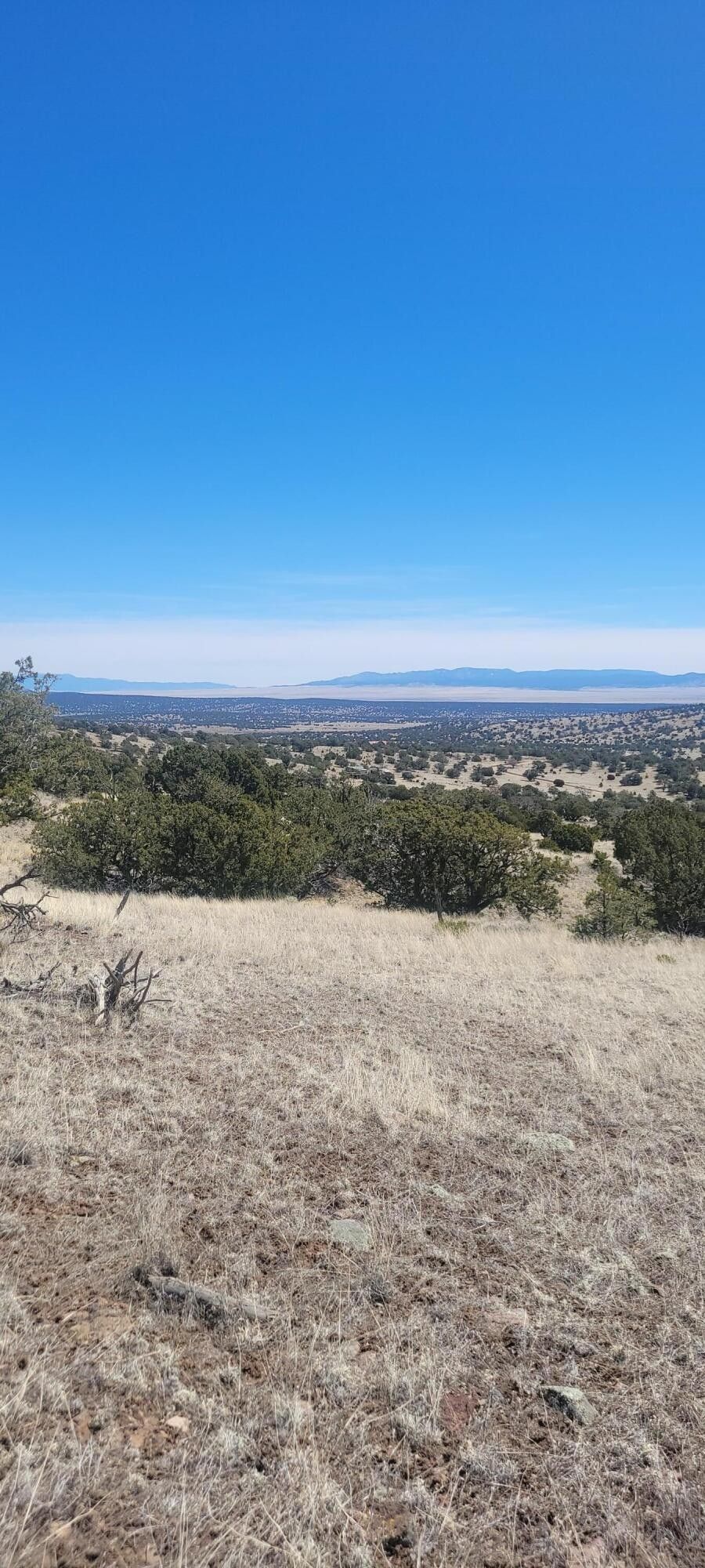 11.94 acres in Catron County, New Mexico