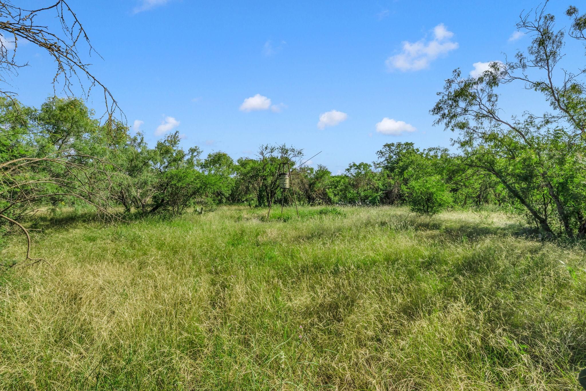 County Road 5715, Natalia, TX 78059 MLS Natalia/LaCoste Ranchette