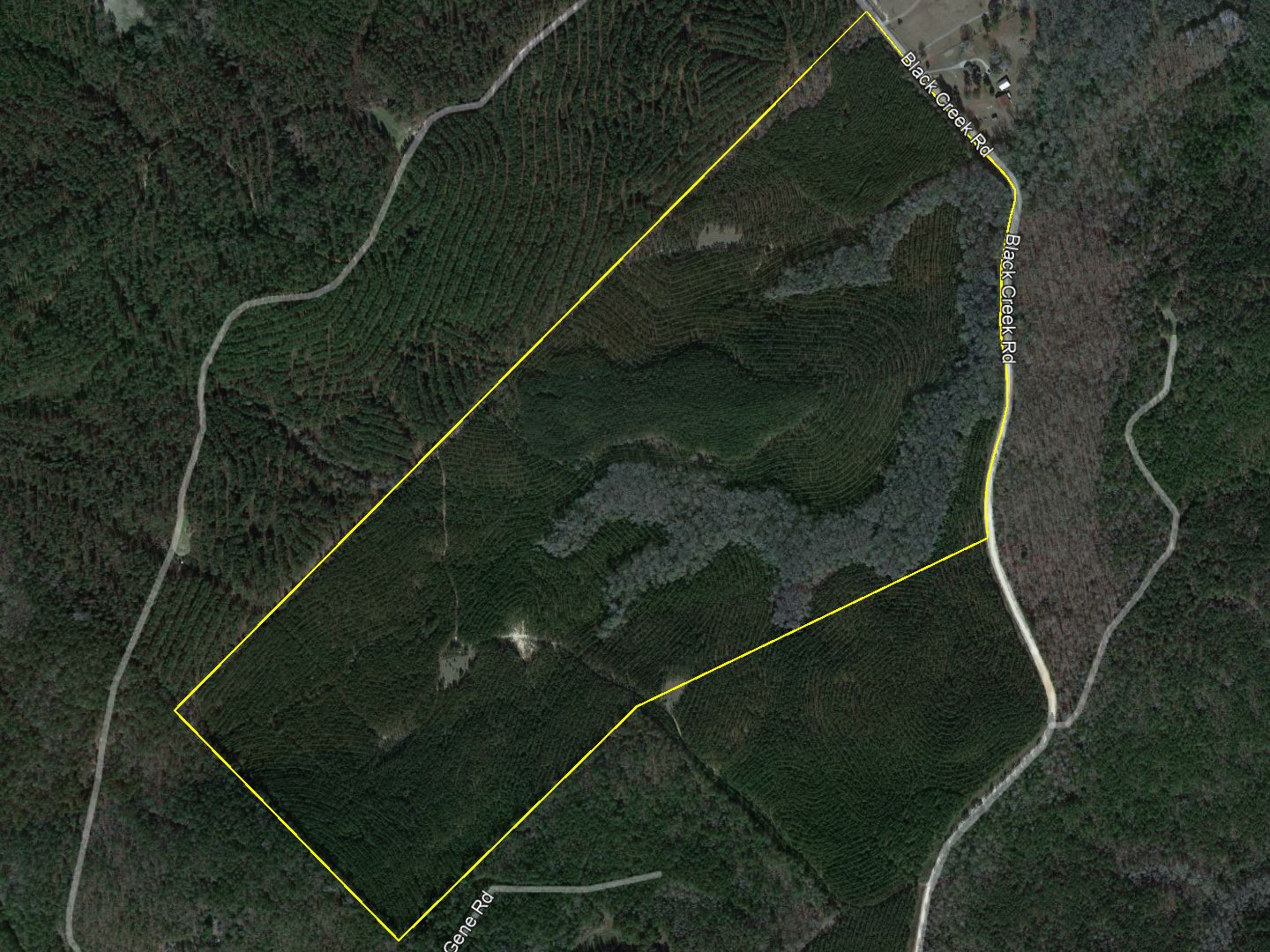 165 acres in Baldwin County,