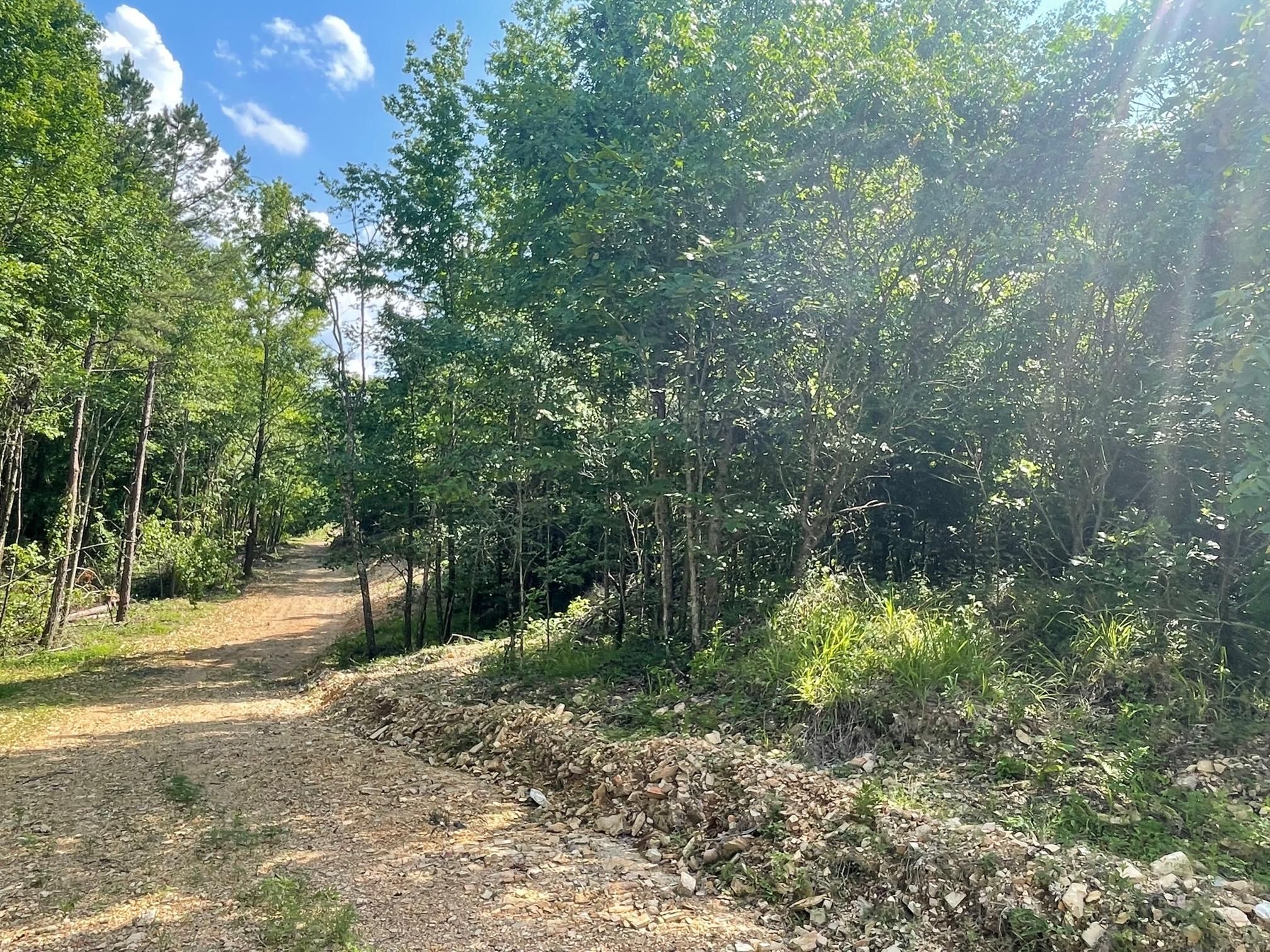 Polk County Road 617, Mena, AR 71953 MLS 23017615