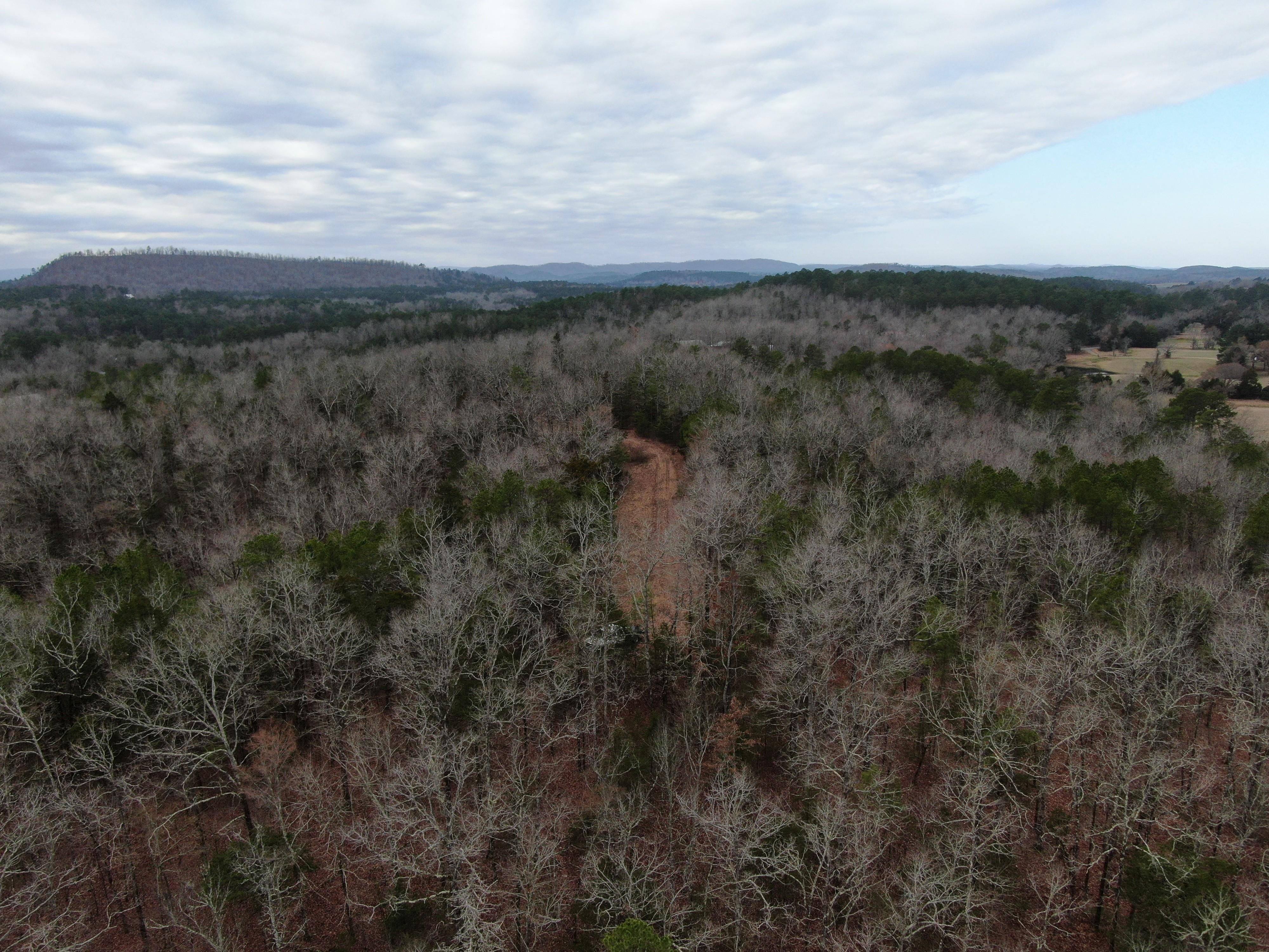 Horseshoe Bend Rd., Mount Ida, AR 12.43 acres