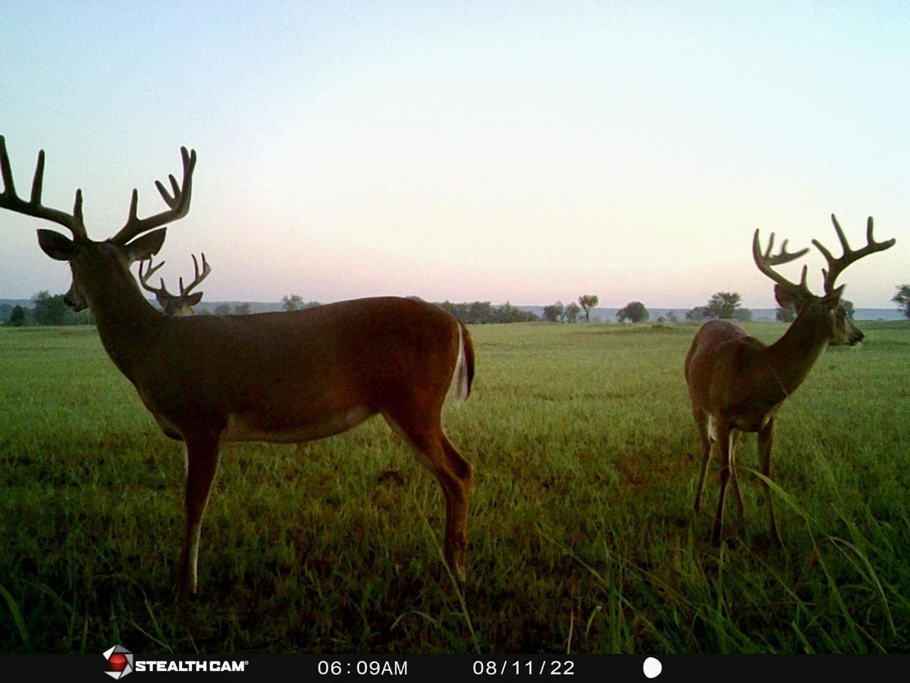 220 acres in Pittsburg County, Oklahoma