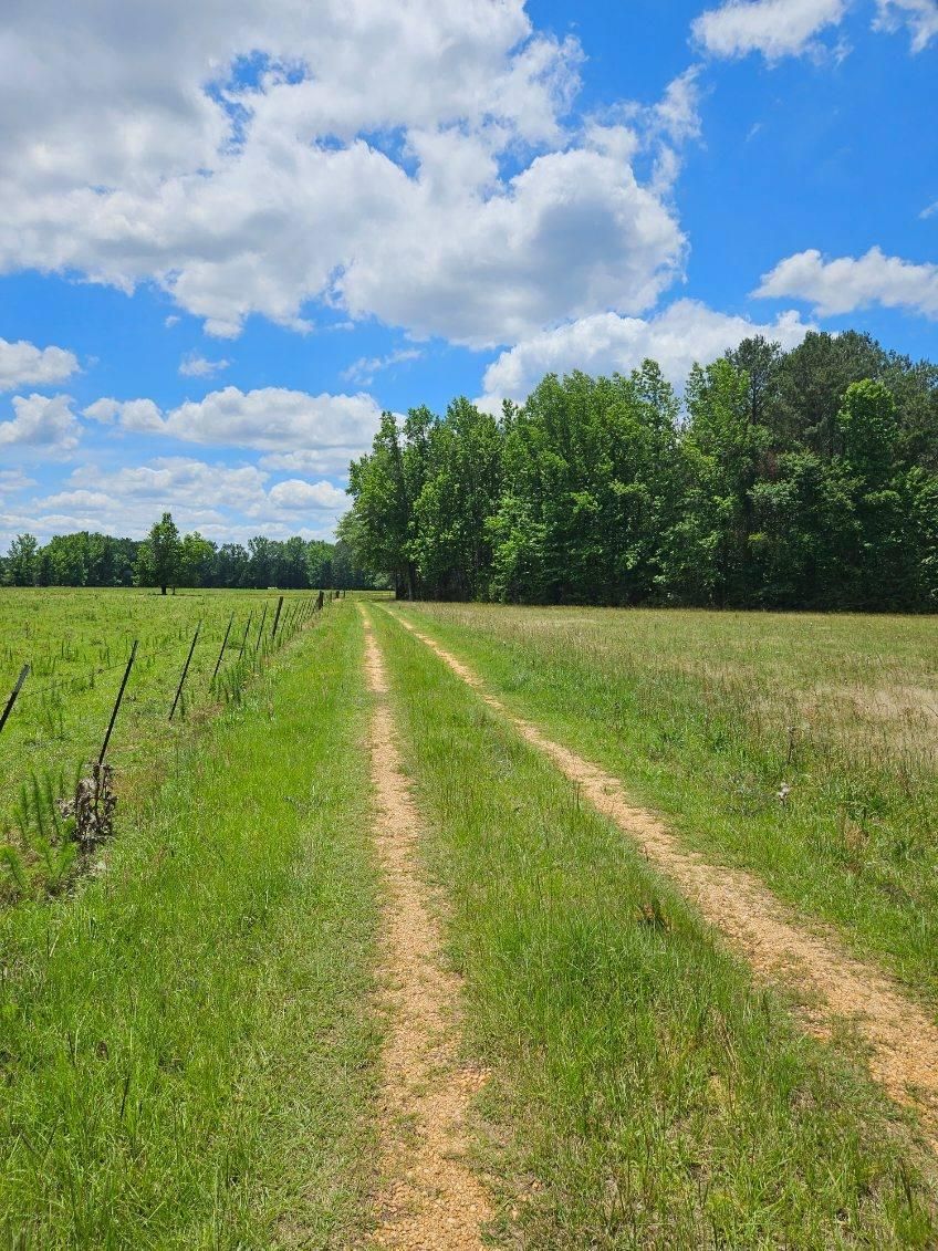 269 acres in Perry County, Alabama