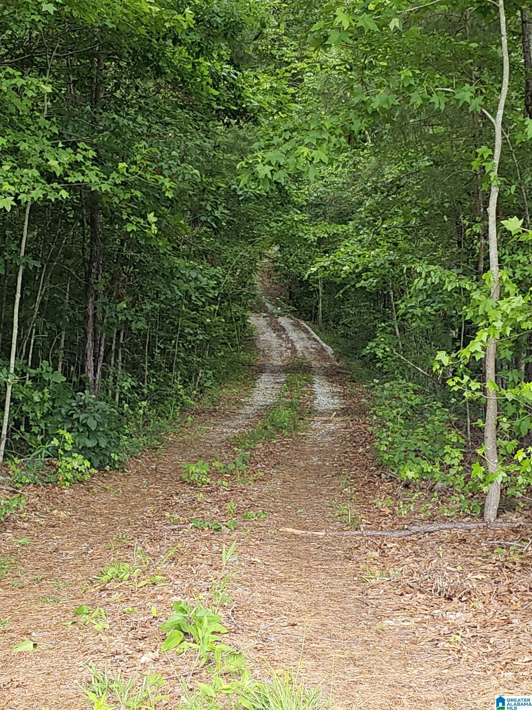 7 acres in Cleburne County, Alabama