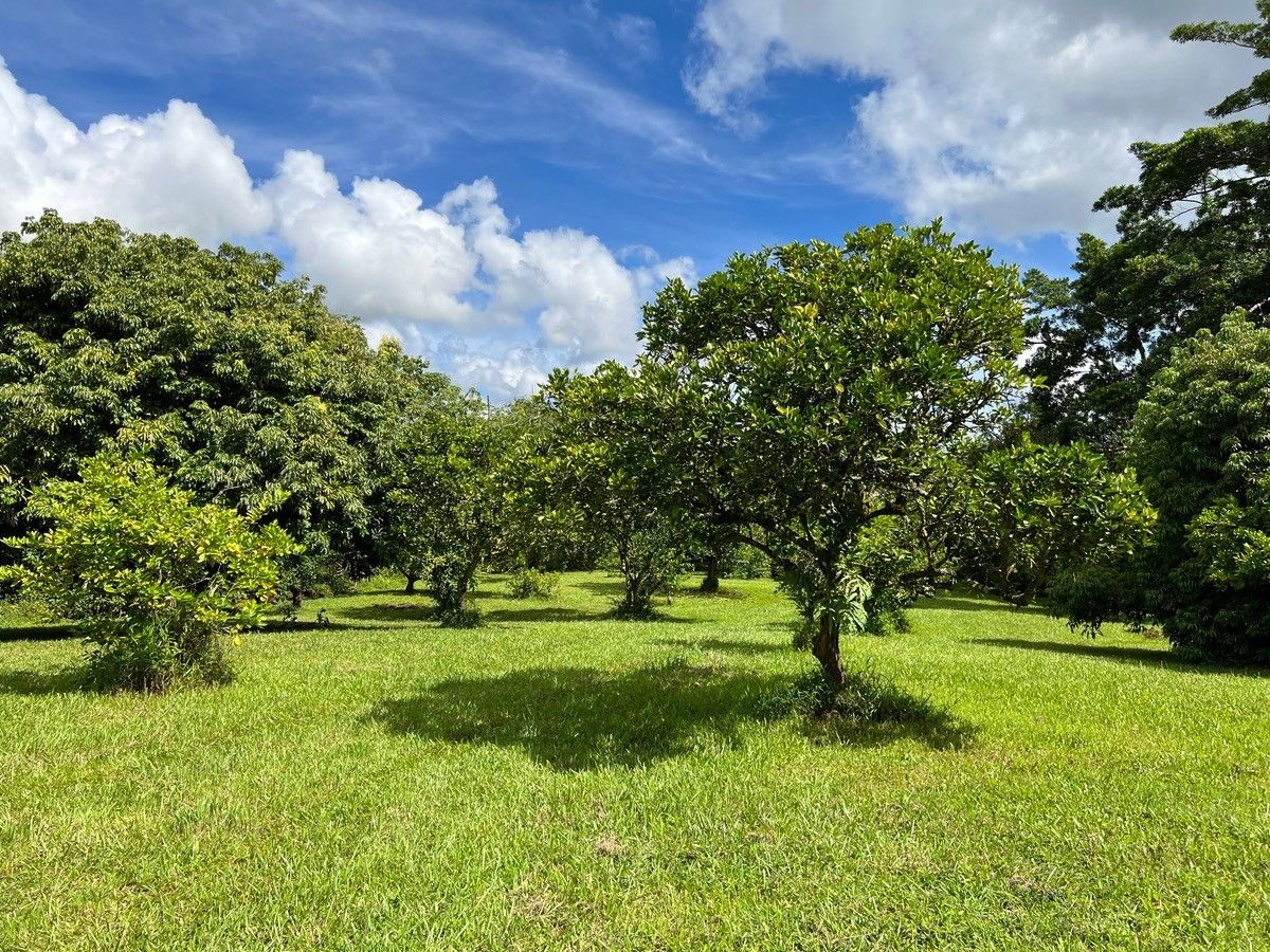 2 acres in Hawaii County, Hawaii