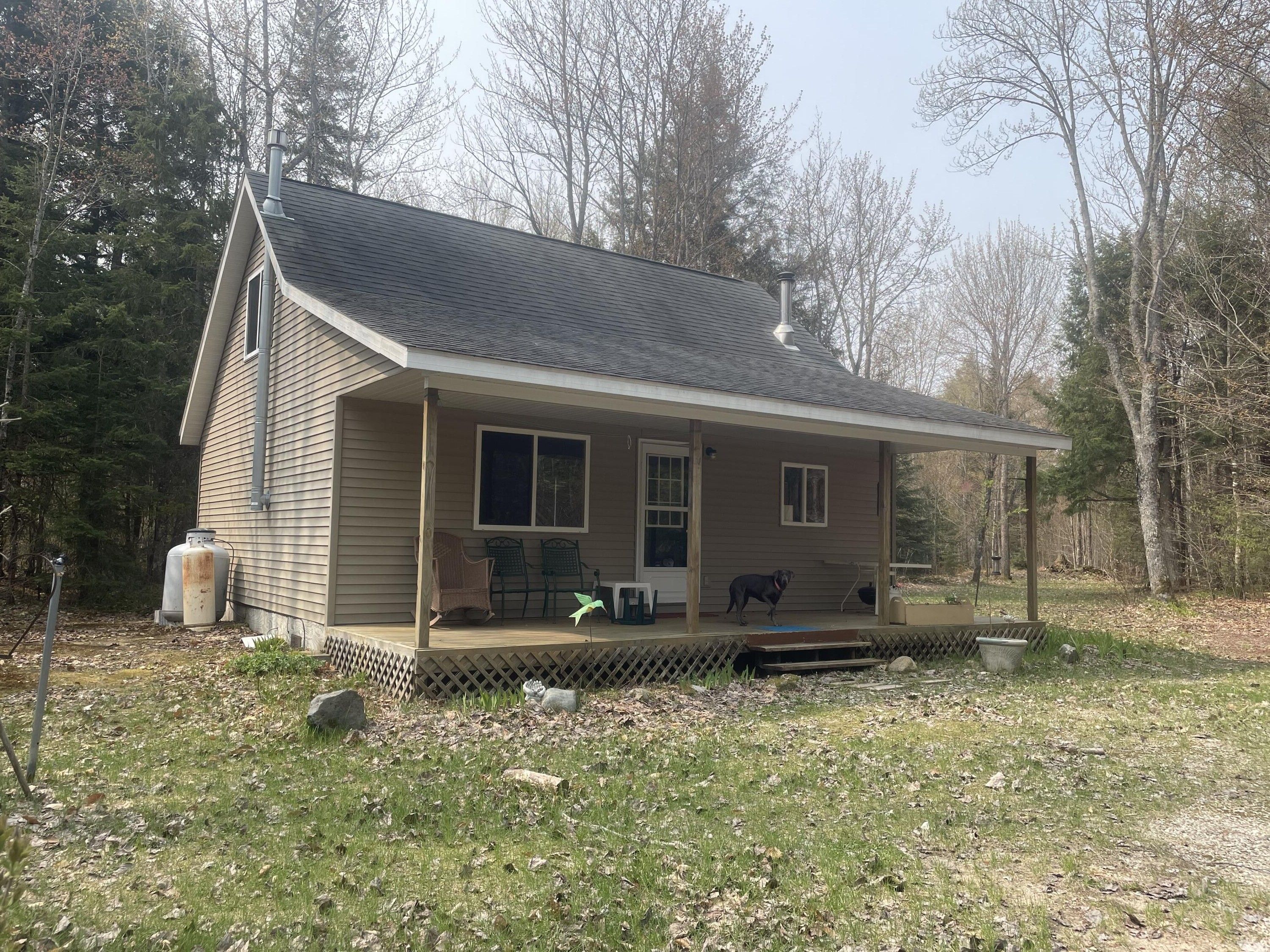 19.5 acres in Luce County, Michigan