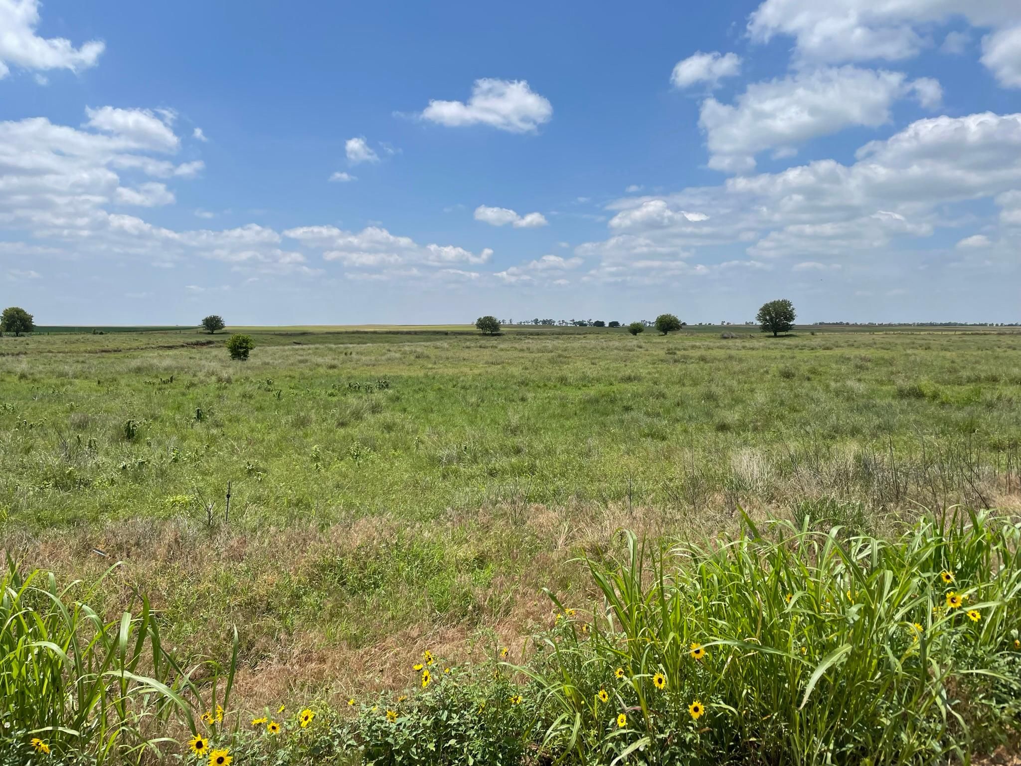 80 acres in Harper County, Kansas