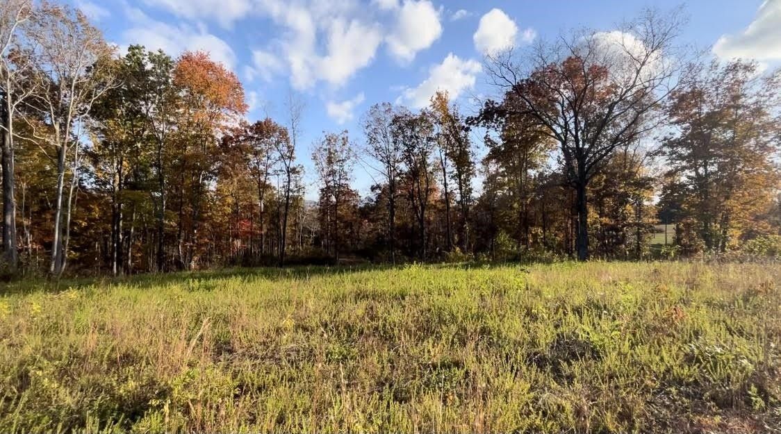 14 acres in Polk County, North Carolina