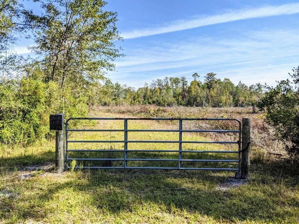 257 acres in Jefferson County, Florida