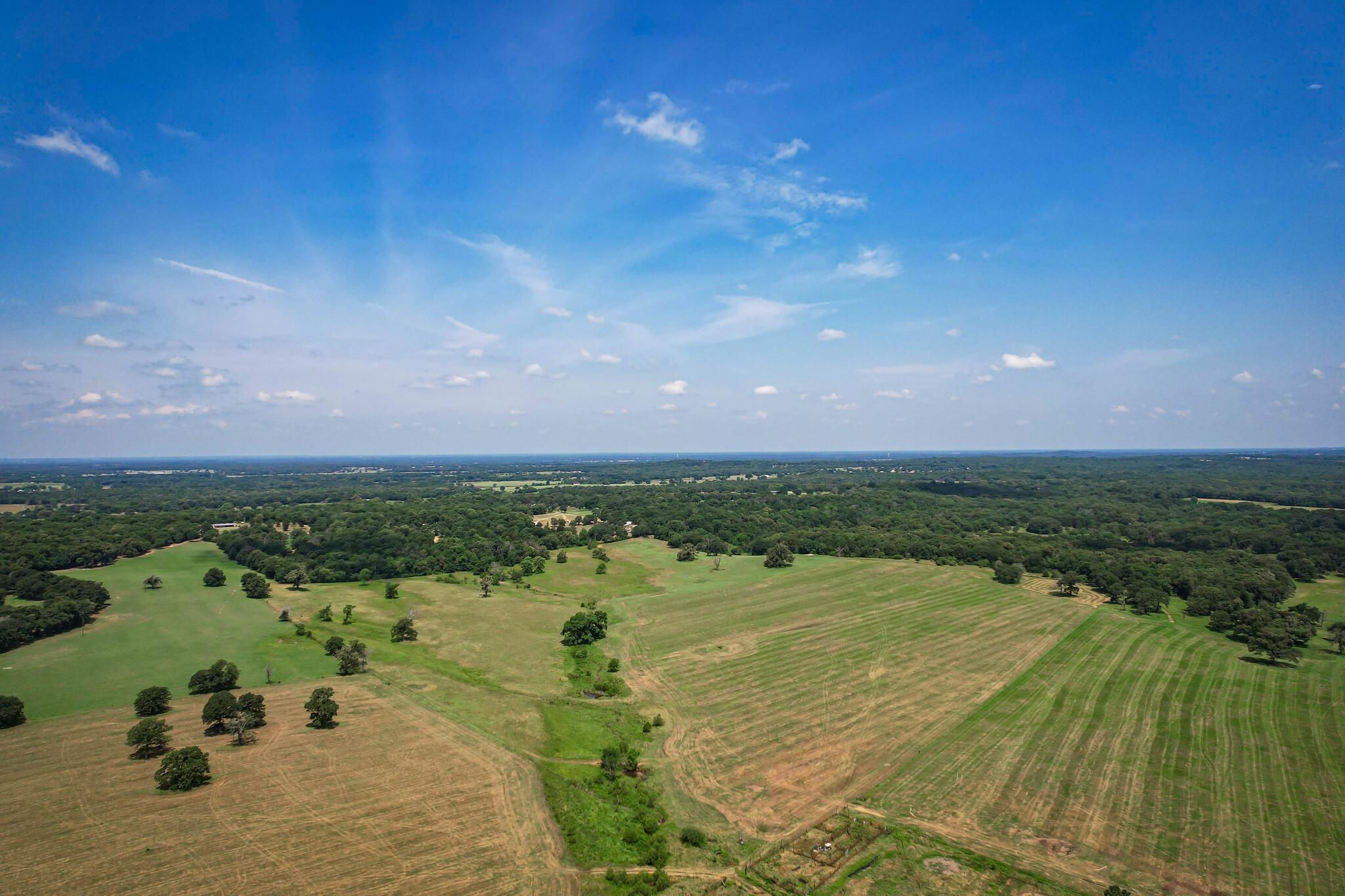 75 acres in Henderson County, Texas
