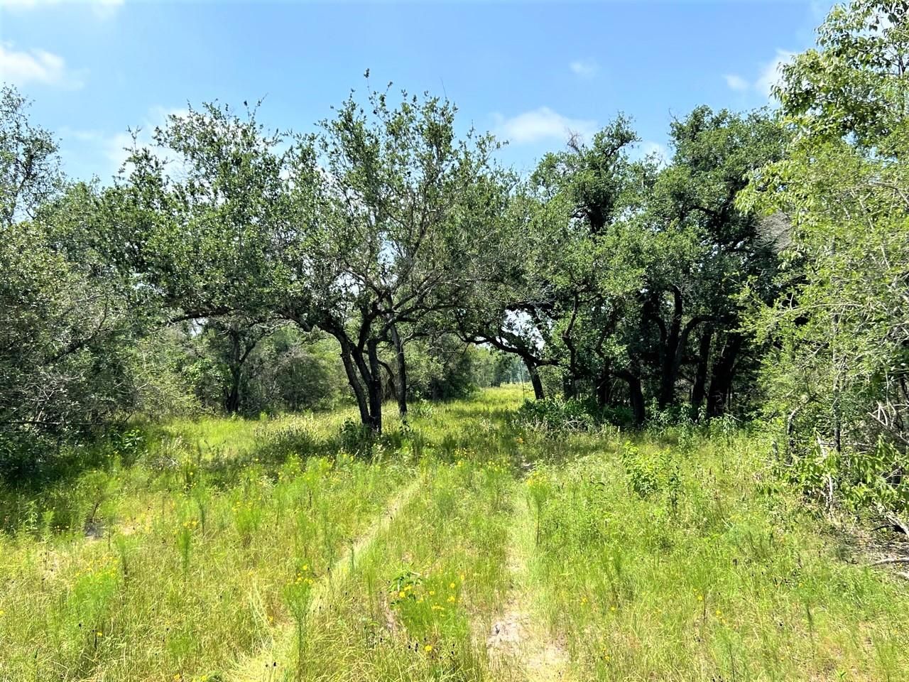 100 acres in Goliad, TX, 77963