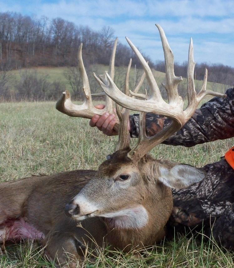 129 acres in Noble County, Ohio