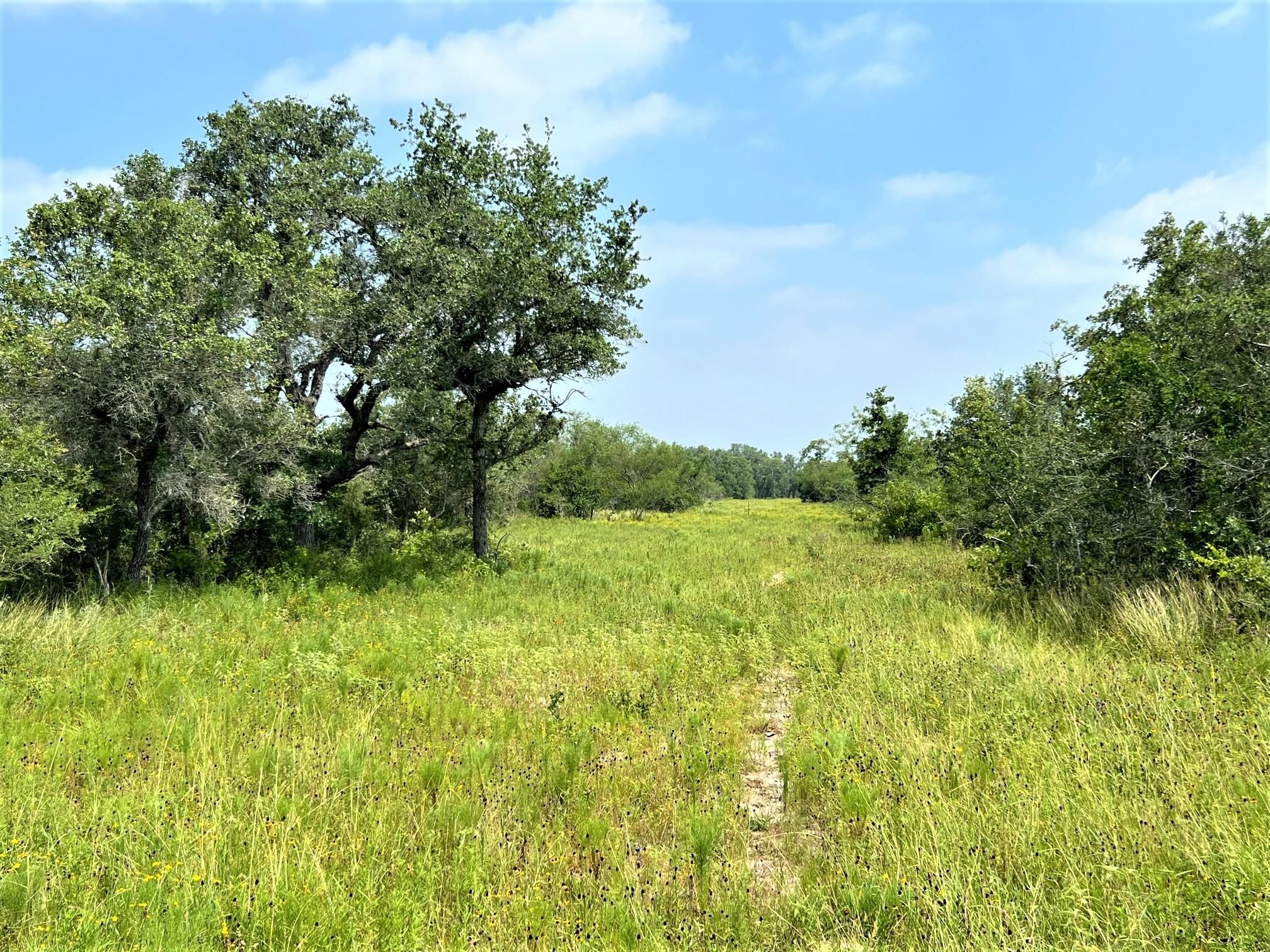 136 acres in Refugio, TX, 78377