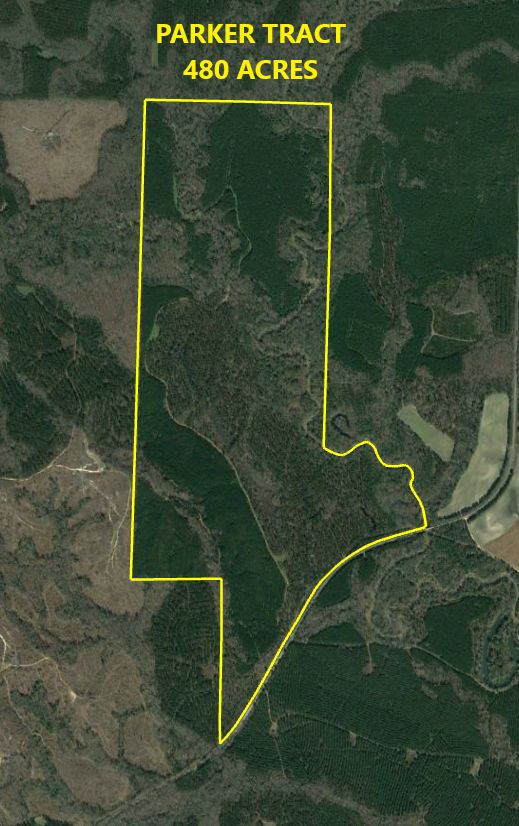 480 acres in Barbour County, Alabama