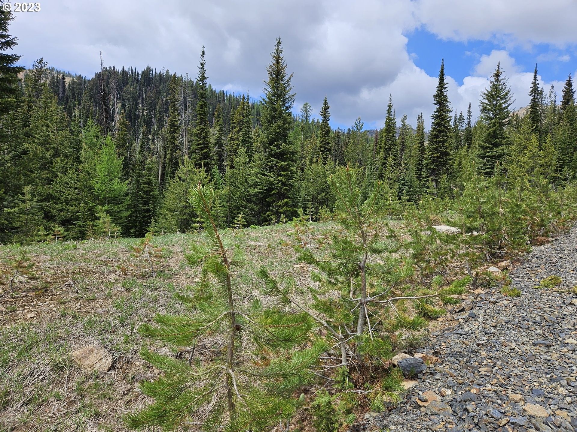 96.23 acres in Baker County, Oregon