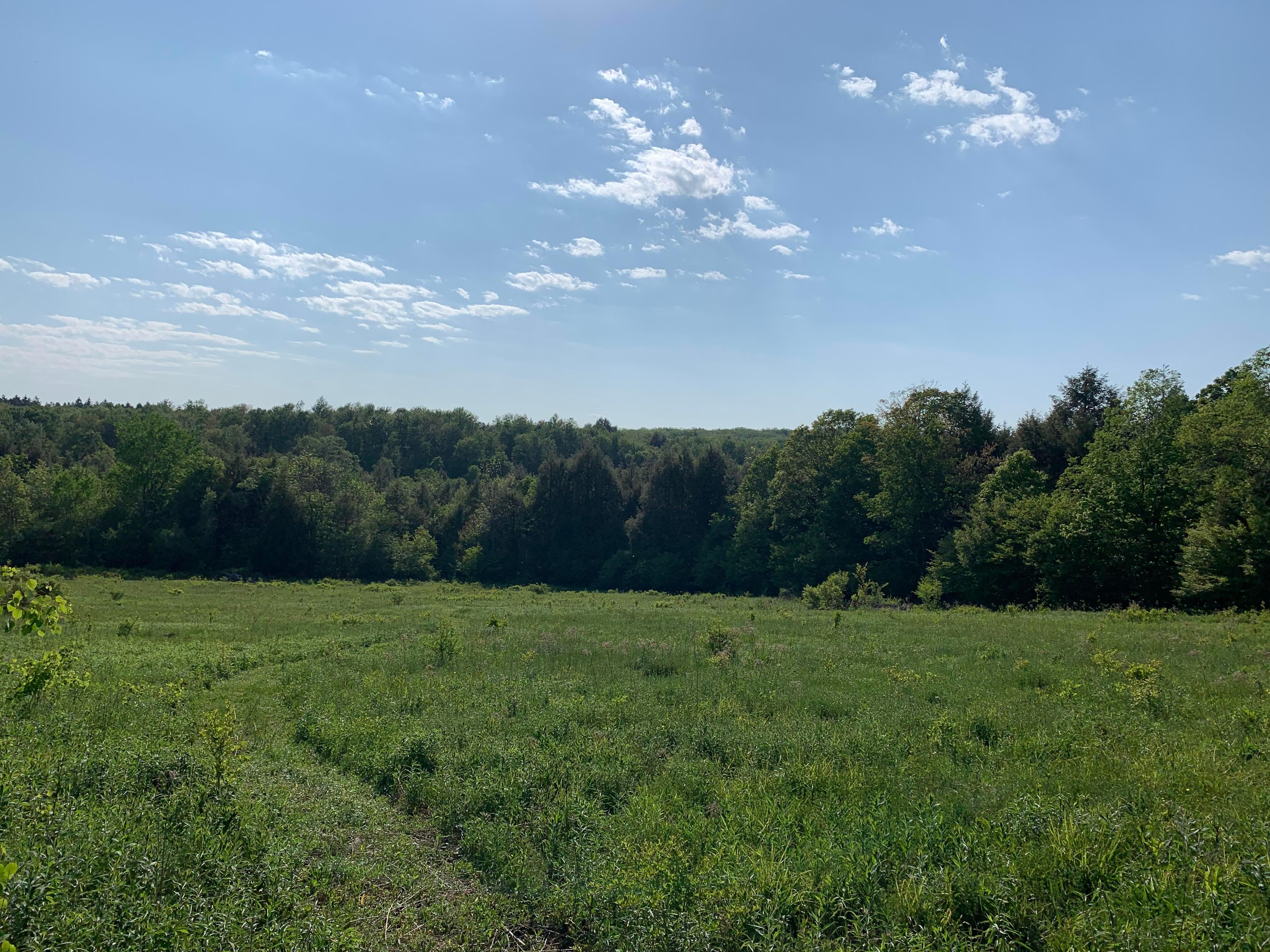 15 acres in Chenango County, New York